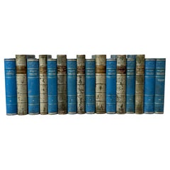 16 Swedish 20th Century Leather-Bound Books In Blue Color