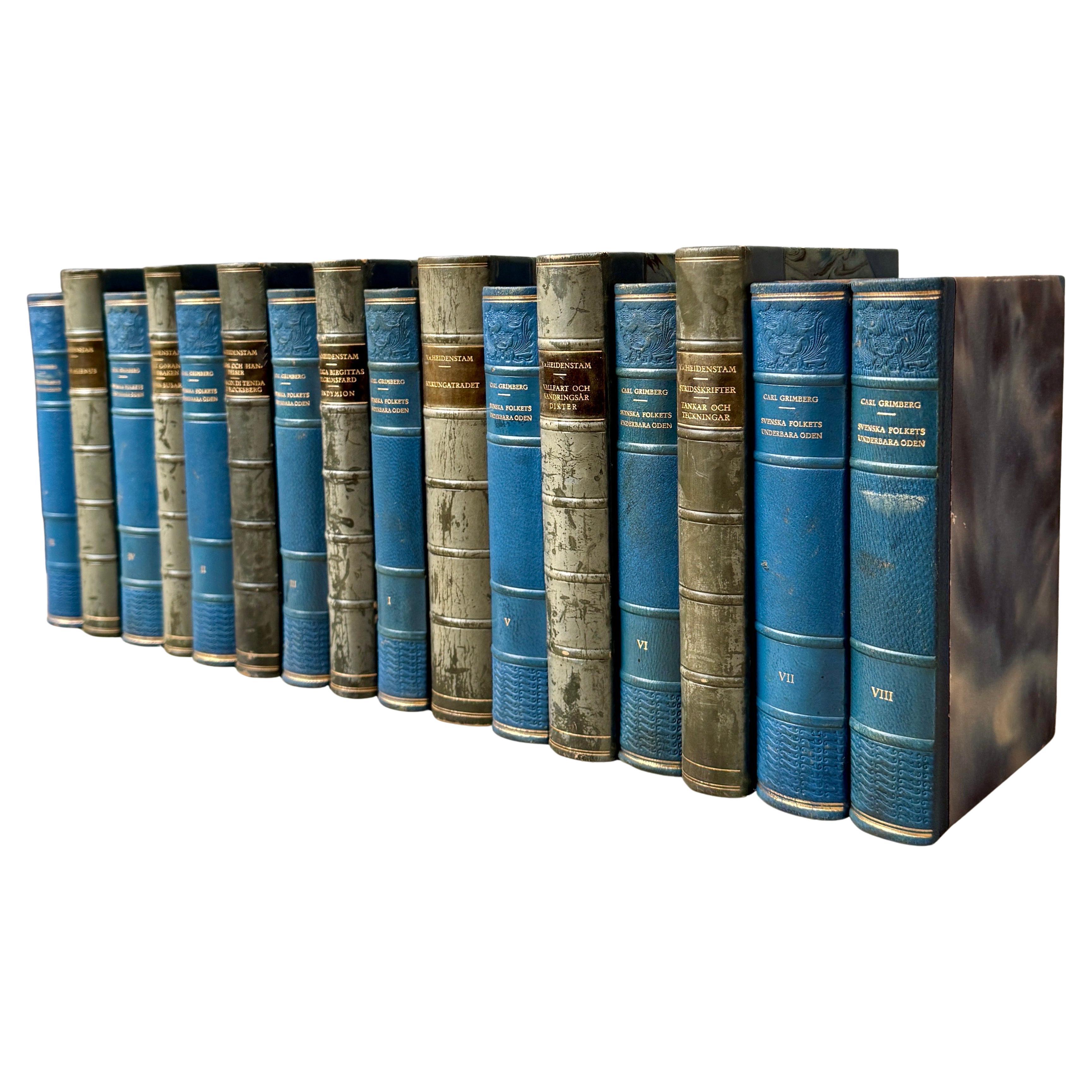 Coloniale britannico 16 libri svedesi del XX secolo rilegati in pelle di colore blu in vendita