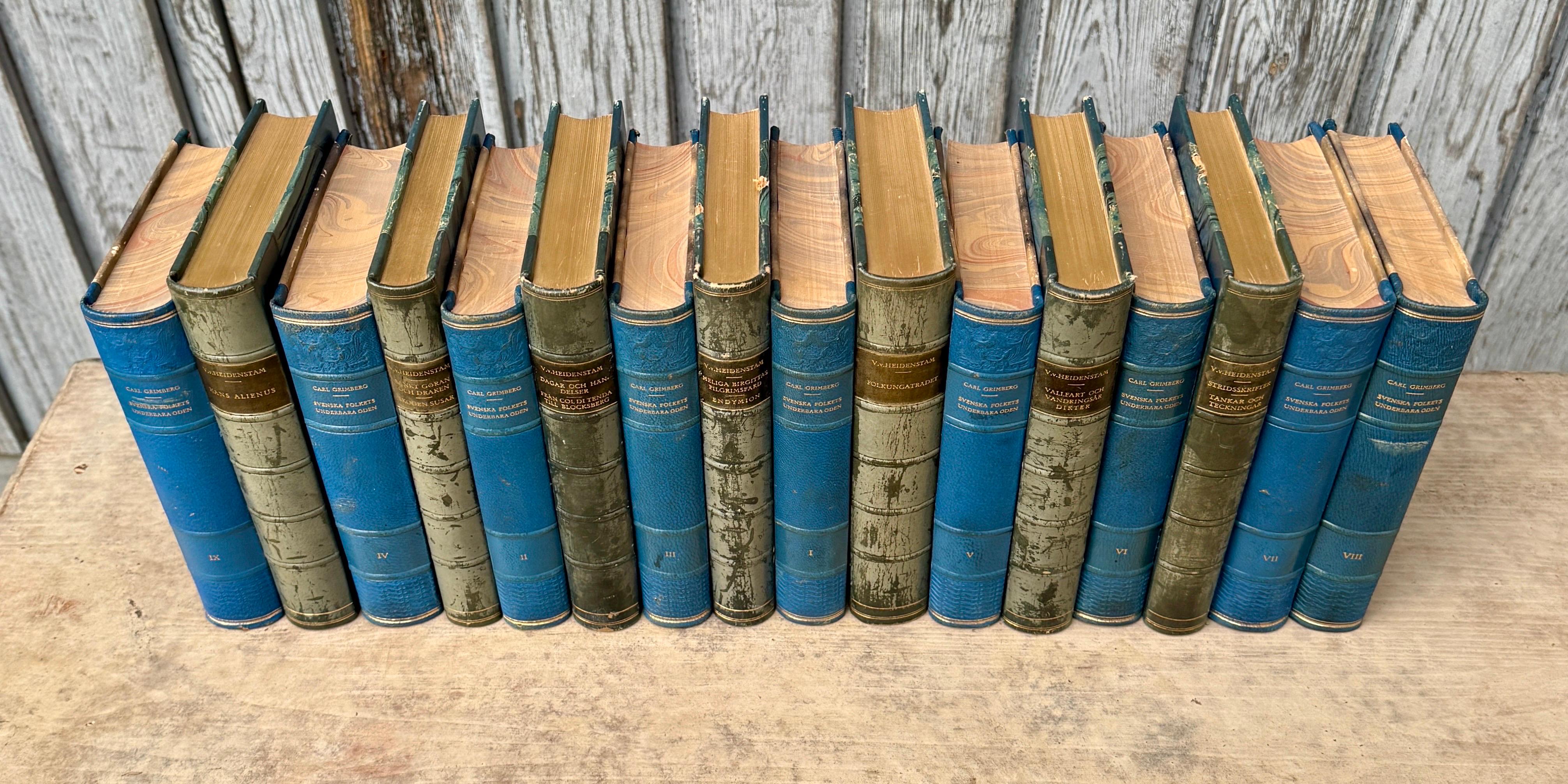 Pelle 16 libri svedesi del XX secolo rilegati in pelle di colore blu in vendita