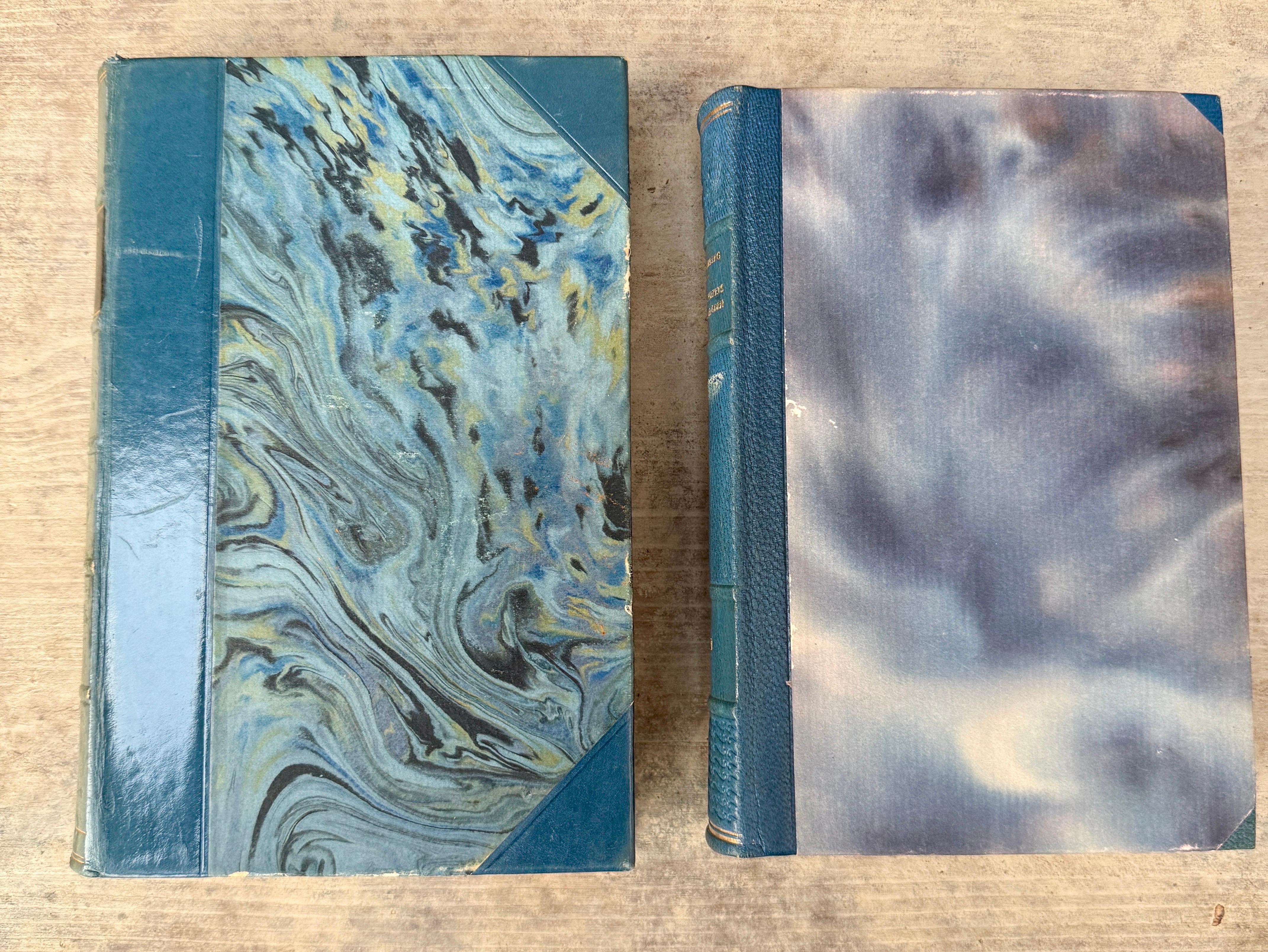 16 libri svedesi del XX secolo rilegati in pelle di colore blu in vendita 1