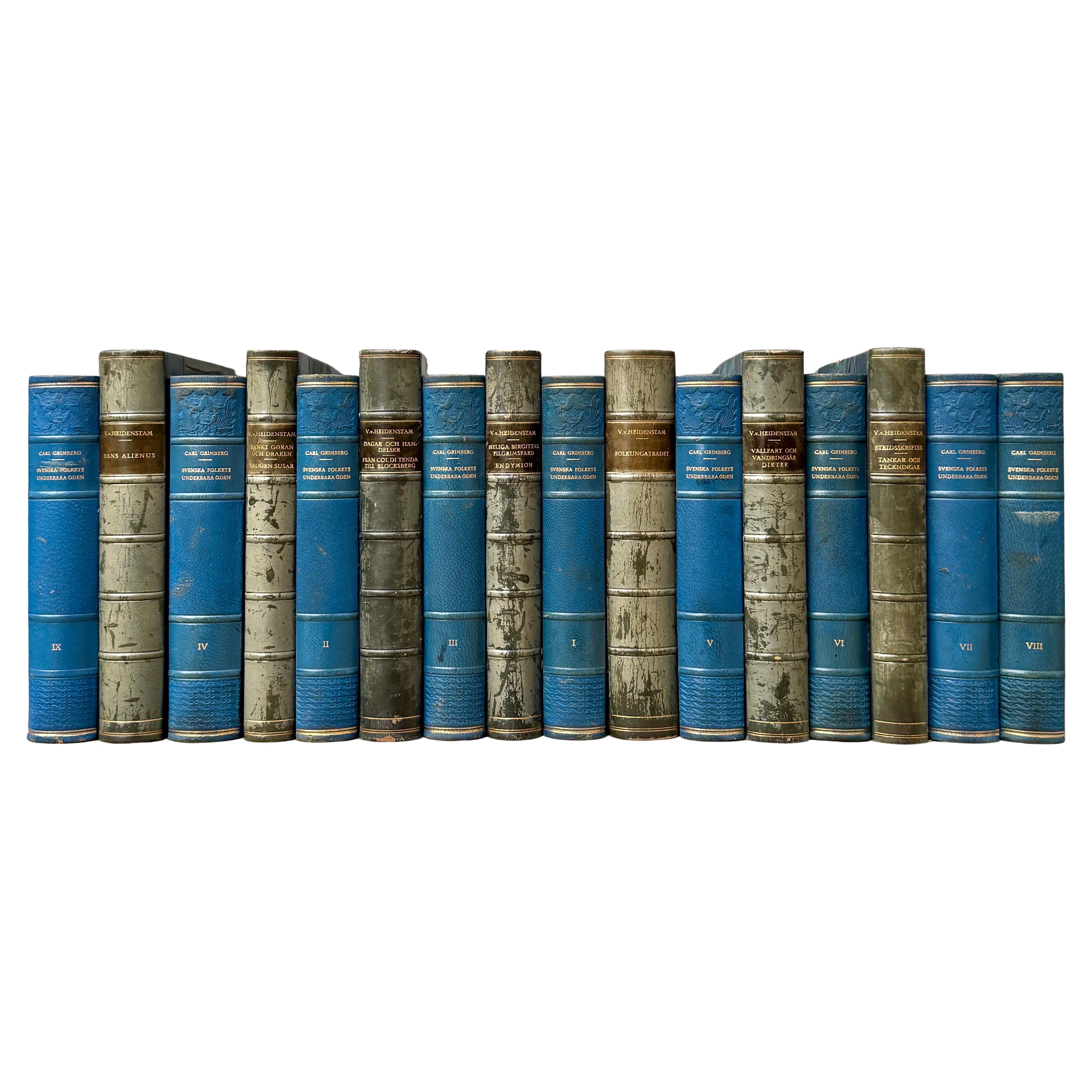 16 Swedish 20th Century Leather-Bound Books In Blue Color