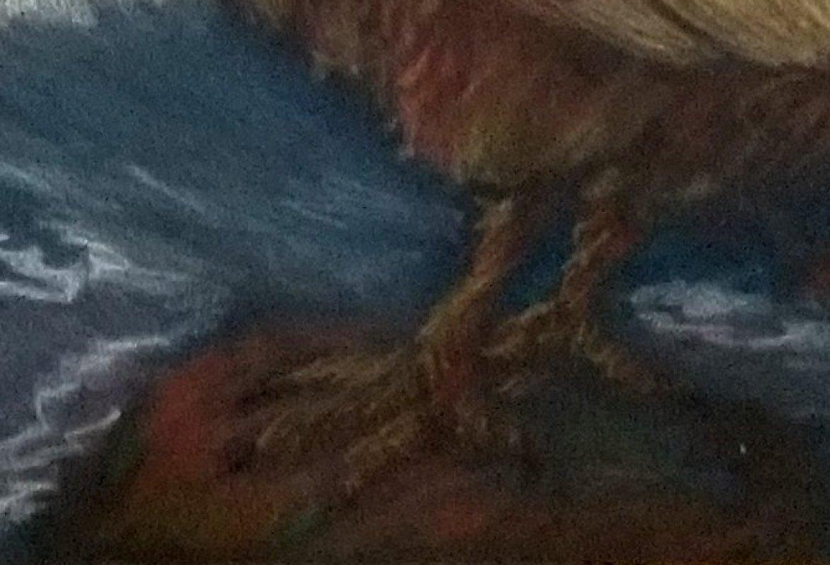 ART 16 x 12.5