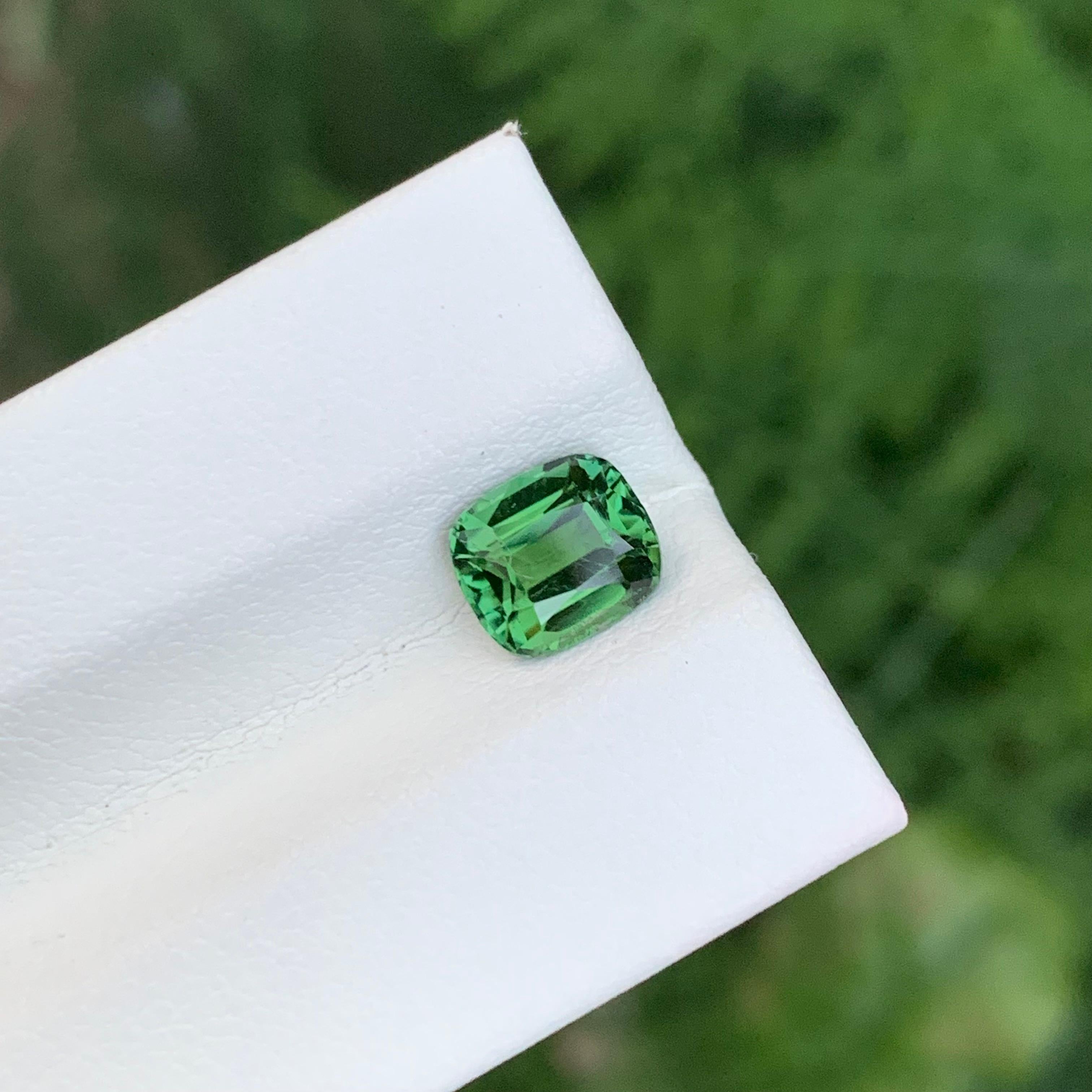 Tourmaline verte facettée

Poids : 1,60 carat
Dimension : 7,3 x 6,4 x 4,5 mm
Couleur : Vert
Traitement : Non
Certificat : Sur demande du client
Forme : Coussin


La tourmaline est une pierre précieuse captivante connue pour sa remarquable variété de