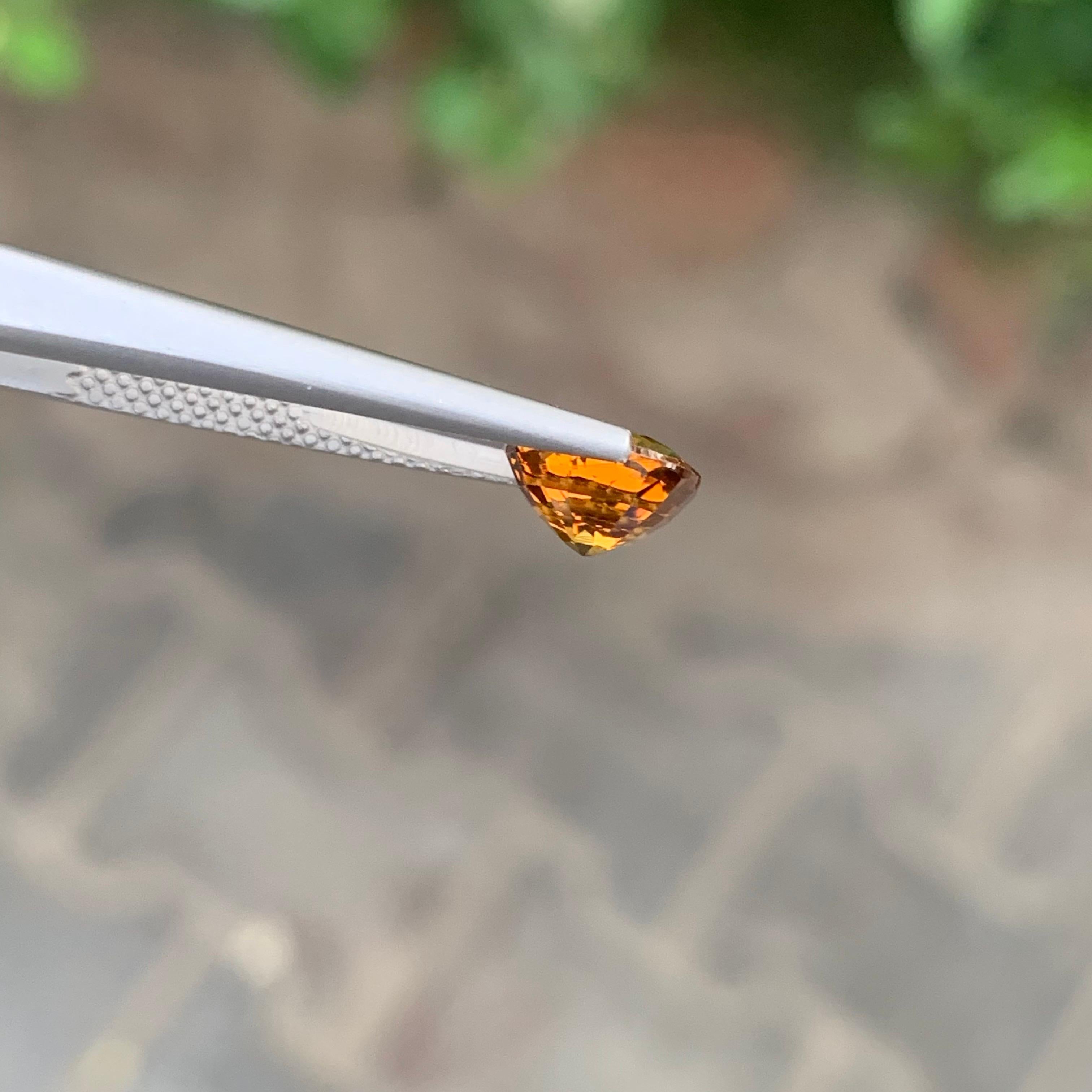 Gema natural suelta de granate de Malí de 1.60 quilates y forma ovalada en venta 2
