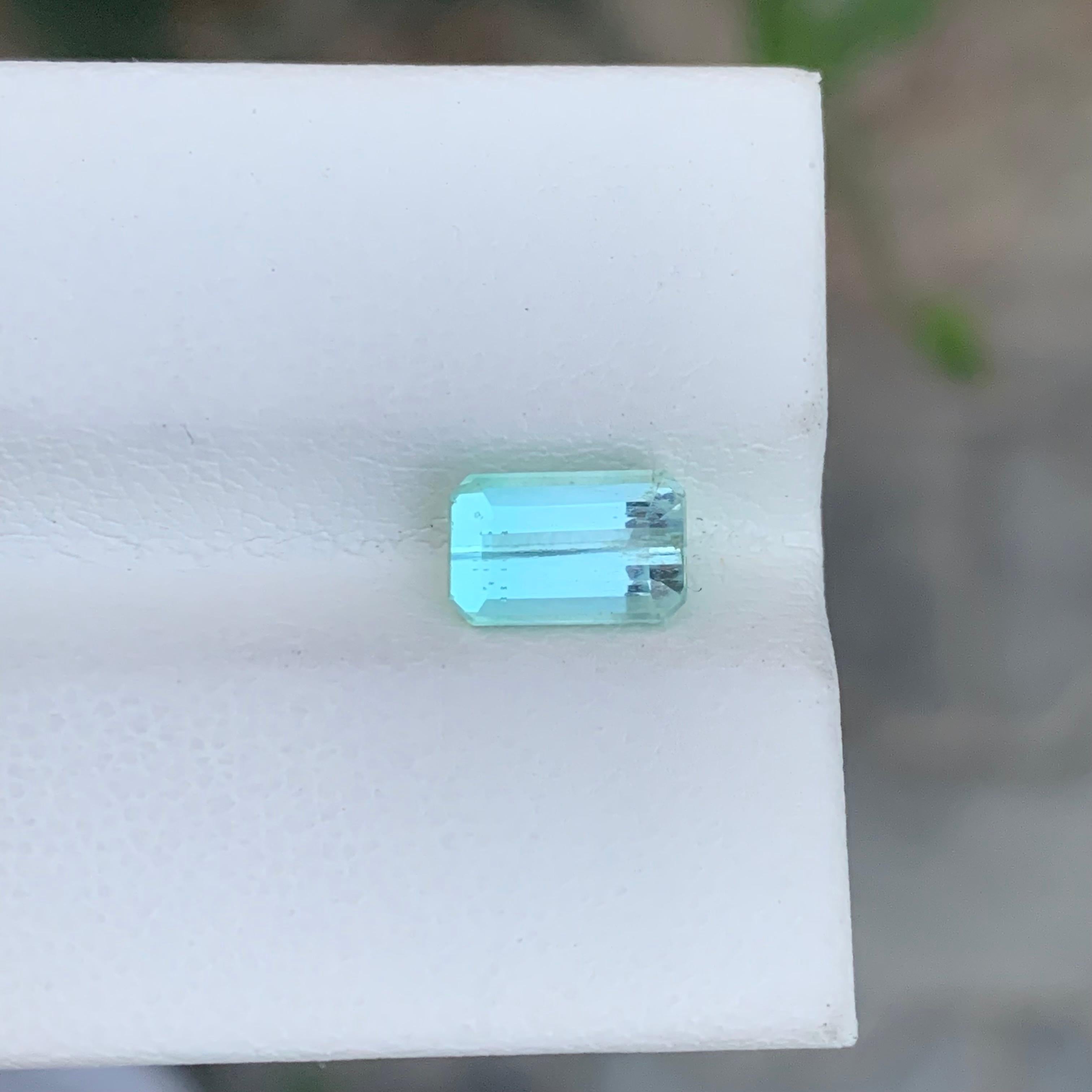 Tourmaline verte à facettes

Poids : 1,60 carat
Dimension : 8,2 x 5,2 x 4,2 mm
Couleur : Vert menthe
Traitement : Non
Certificat : Sur demande du client
Forme : Coussin 


La tourmaline est une pierre précieuse captivante connue pour sa remarquable