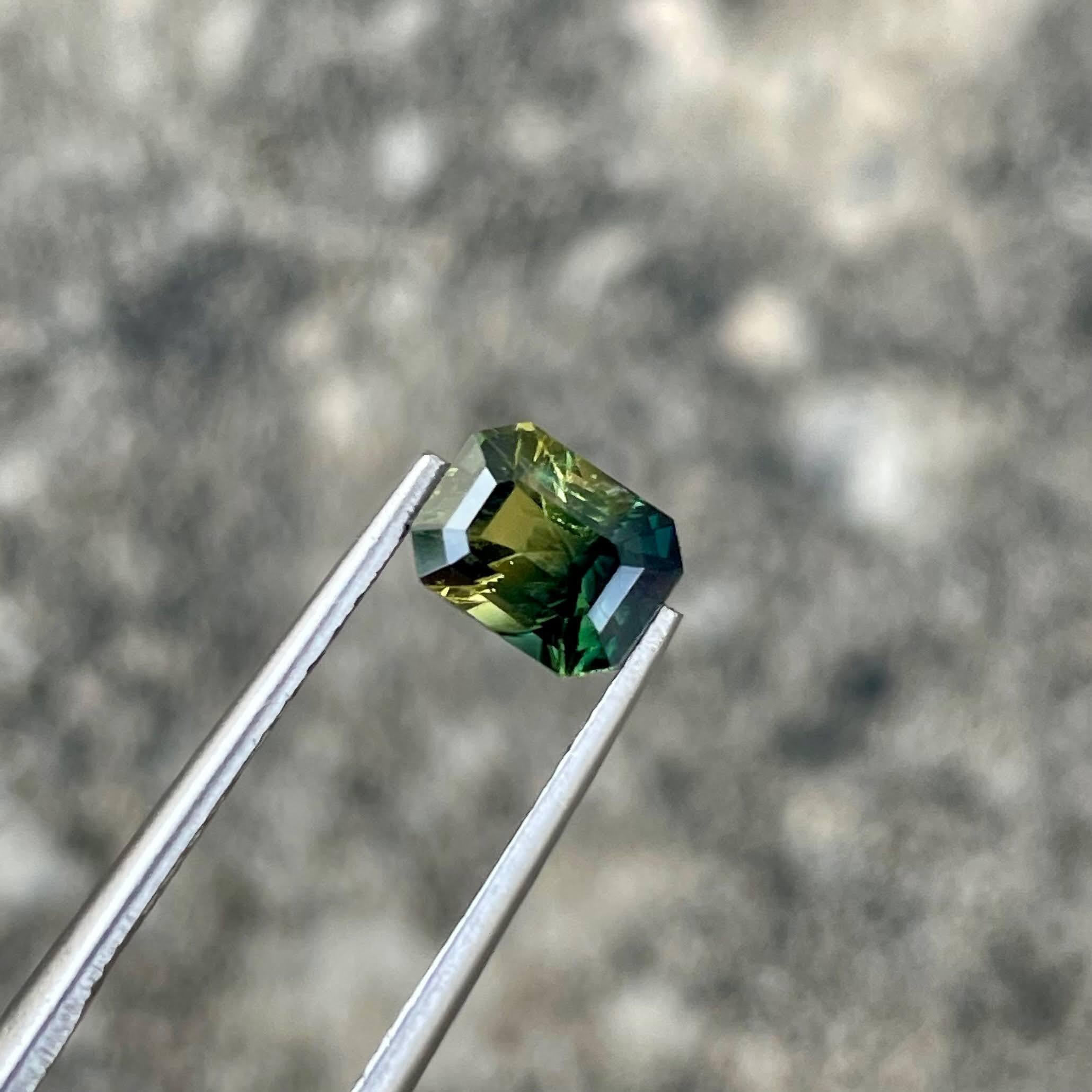 Weight 1.60 carats 
Dimensions 6.9x5.4x4.2 mm
Treatment heat
Clarity VVS
Origin Madagascar
Shape Octagon
Cut Emerald




The 1.60-carat Bicolor Parti Sapphire Stone, with its mesmerizing Emerald Cut, stands as a natural marvel hailing from the