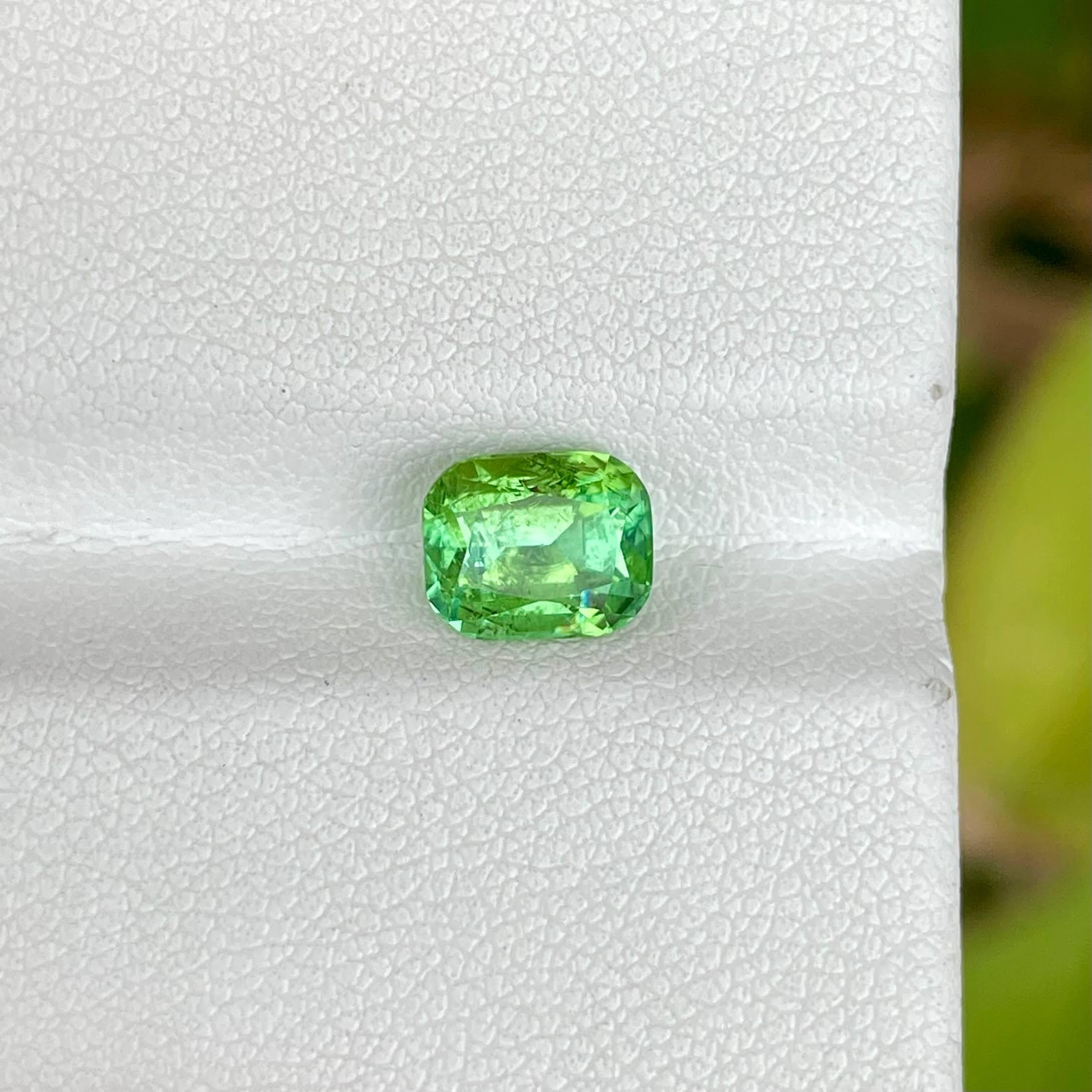 Peso 1,60 carati 
Dimensioni 7,15x5,80x5,10 mm
Trattamento nessuno 
Origine Afghanistan 
Chiarezza inclusa 
Forma del cuscino 
Tagliare un cuscino di fantasia 



La tormalina verde chiaro da 1,60 carati, tagliata meticolosamente a forma di cuscino,