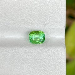 1.60 Carats Light Green Loose Tourmaline Stone Cushion Cut Afghan Gemstone (pierre précieuse afghane)