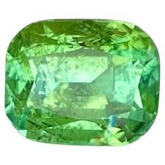 1.60 Carats Light Green Loose Tourmaline Stone Cushion Cut Afghan Gemstone (pierre précieuse afghane)