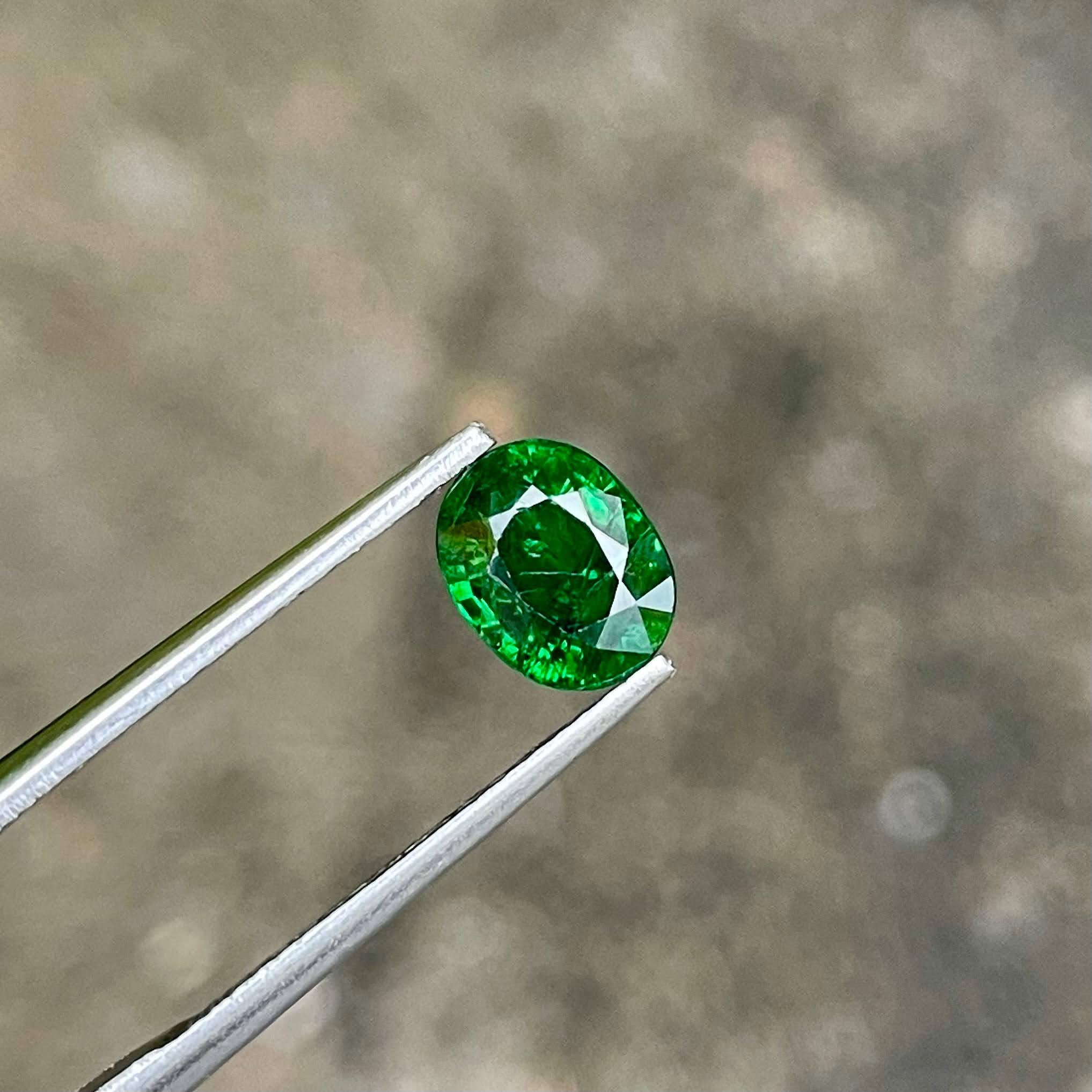 Peso 1,60 carati 
Dimensioni 7,3x5,75x4,21 mm
Trattamento nessuno 
Origine Kenya 
Chiarezza SI
Forma ovale 
Taglio sfaccettato 



Questo squisito Granato Tsavorite da 1,60 carati è un esempio accattivante della bellezza della natura, caratterizzato