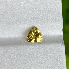 1.60 Carats Yellow Chrysoberyl Stone Trilliant Cut Natural Sri Lankan Gemstone
