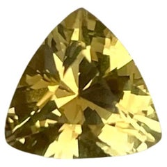 1.60 Carats Yellow Chrysoberyl Stone Trilliant Cut Natural Sri Lankan Gemstone