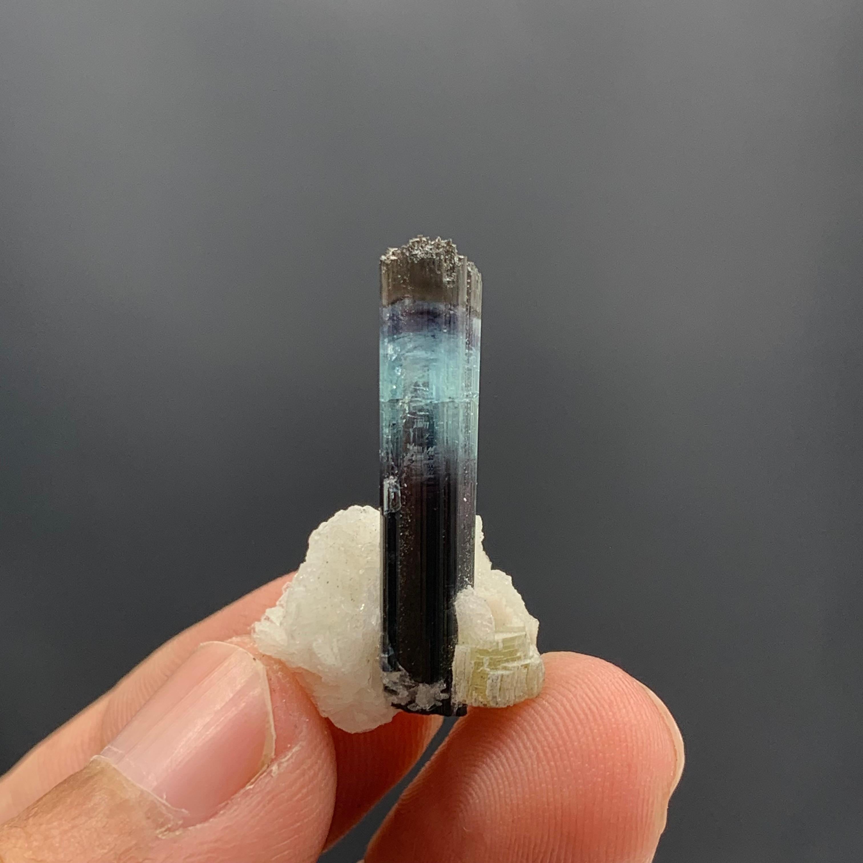 Other 16.00 Carat Glamorous Bi Color Tourmaline With Albite From Kunar, Afghanistan  For Sale