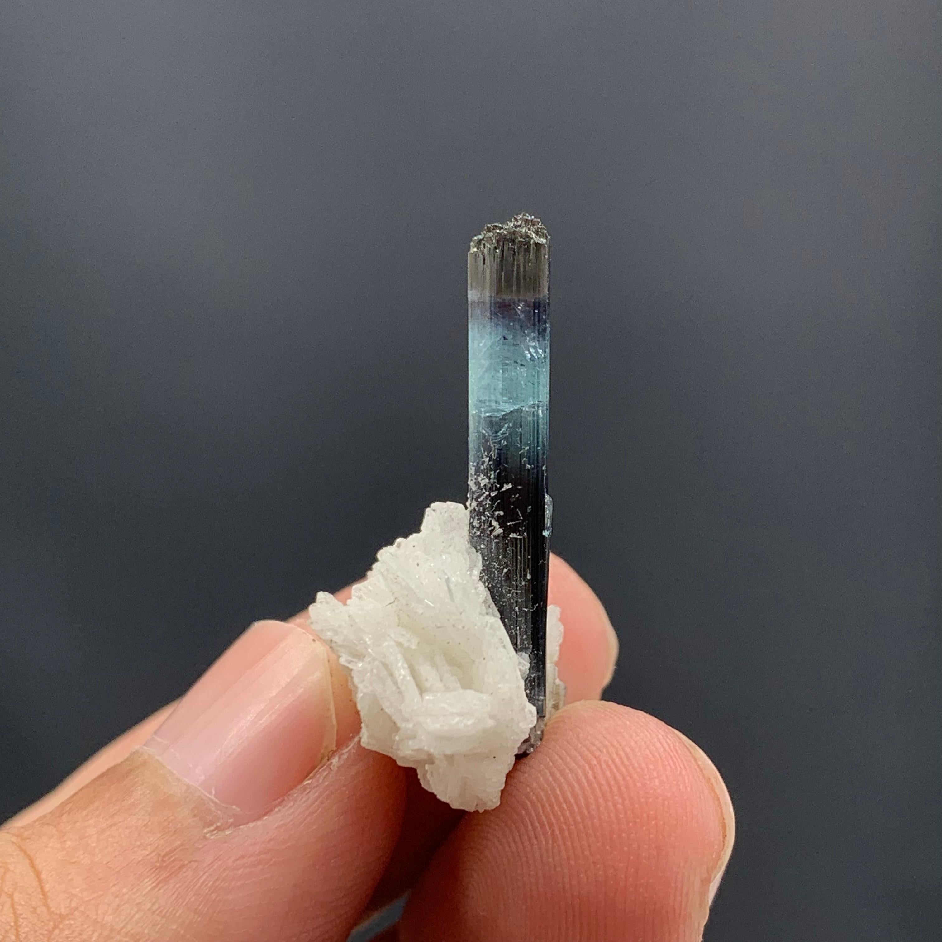 16.00 Carat Glamorous Bi Color Tourmaline With Albite From Kunar, Afghanistan  In Good Condition For Sale In Peshawar, PK