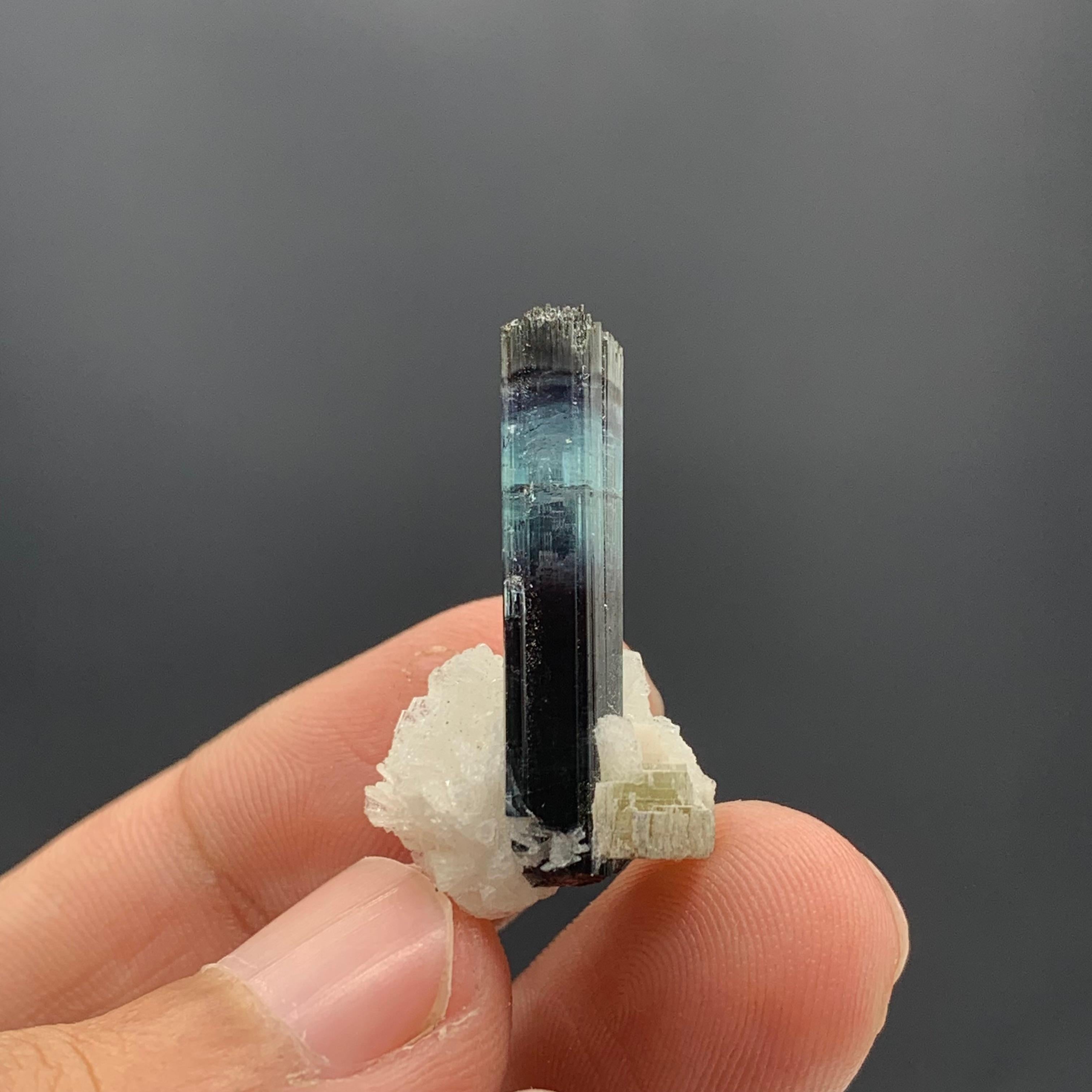 18th Century and Earlier 16.00 Carat Glamorous Bi Color Tourmaline With Albite From Kunar, Afghanistan  For Sale