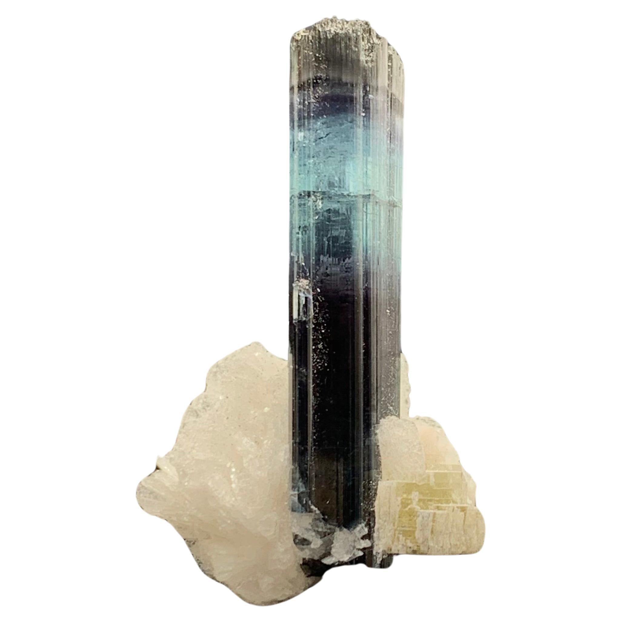16.00 Carat Glamorous Bi Color Tourmaline With Albite From Kunar, Afghanistan  For Sale