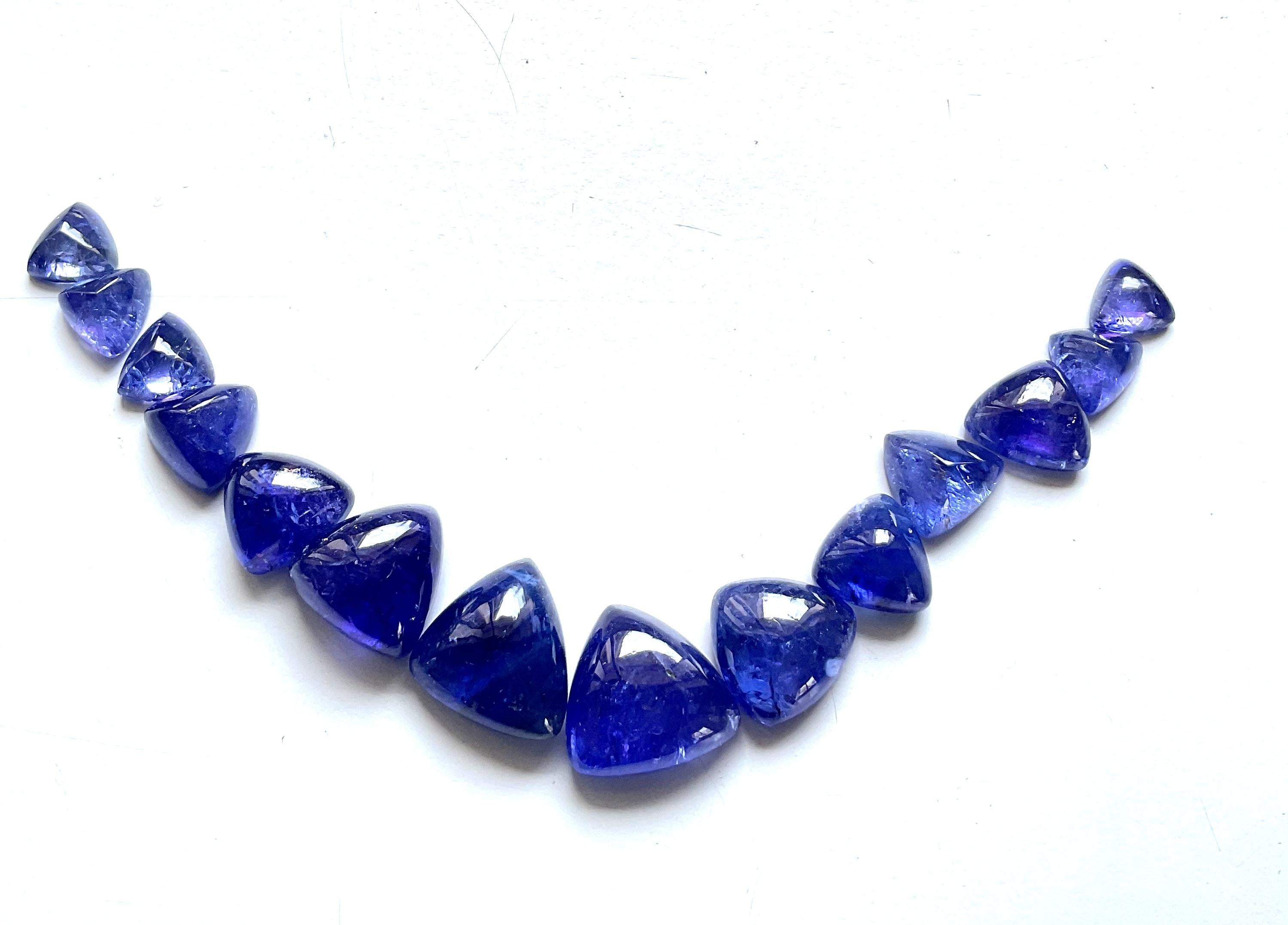 160.15 carats top quality tanzania tanzanite plain trillion layout natural gem In New Condition For Sale In Jaipur, RJ