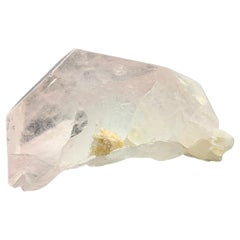 Incroyable cristal morganite d'Afghanistan de 160,25 carats 