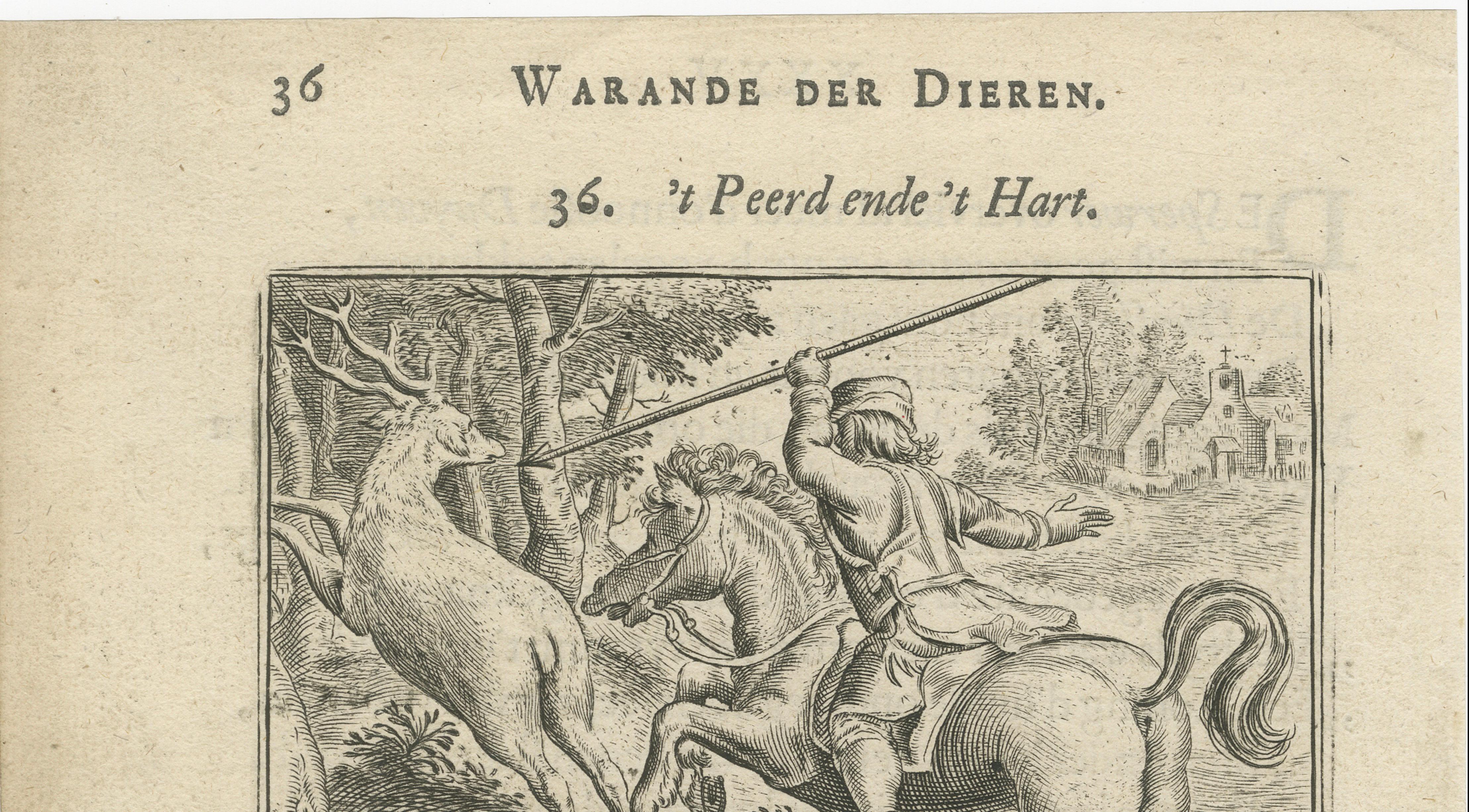 17th Century 1617 Horse and Deer Engraving by Vondel – Warande der Dieren For Sale
