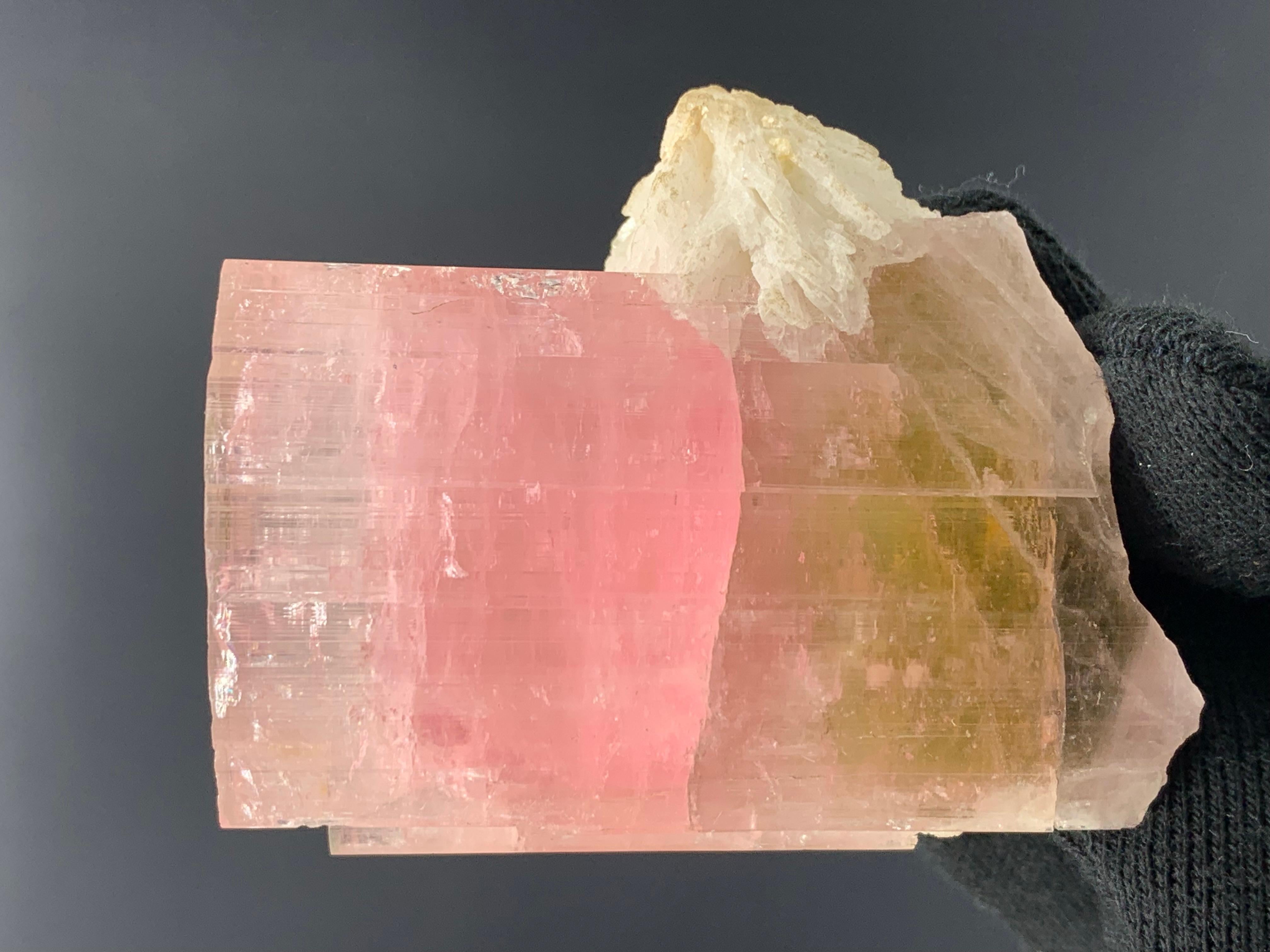 Autre Magnifique spécimen de tourmaline tricolore de 161,78 grammes provenant de Paprook, Afghanistan  en vente