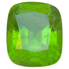 16.20 Carat Vivid Green Natural Peridot Cushion Cut Loose Gemstone for Jewelry (Péridot vert vif naturel, taille en coussin)