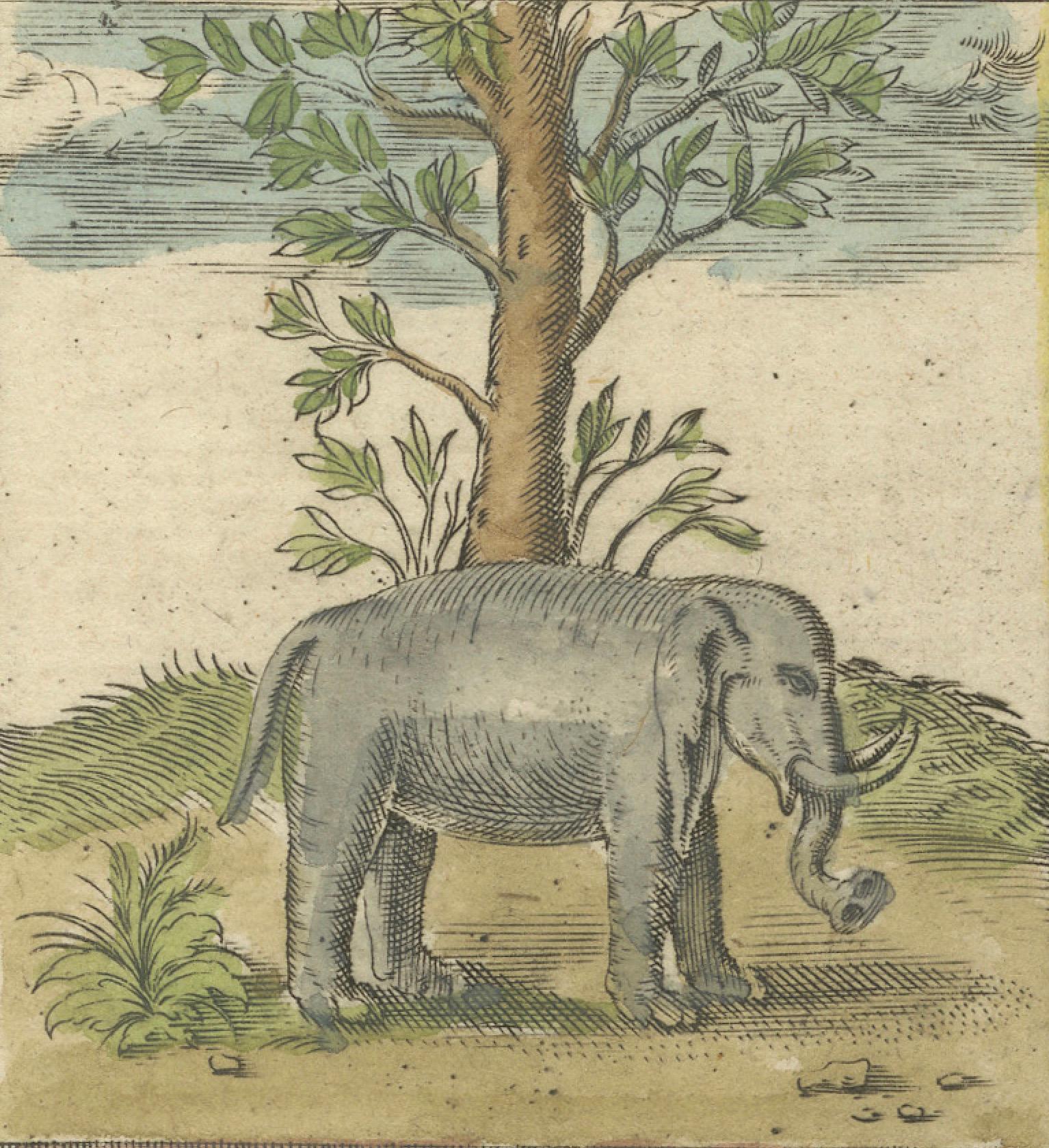 Inizio XVII secolo Mappa di Taprobana (Sumatra) di Tolomeo e Magini del 1621 con inserto di elefante in vendita