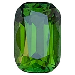 1.63 Karat Lebendiges Olivgrün Natürlicher Turmalin Cushion-Schliff Loser Edelstein