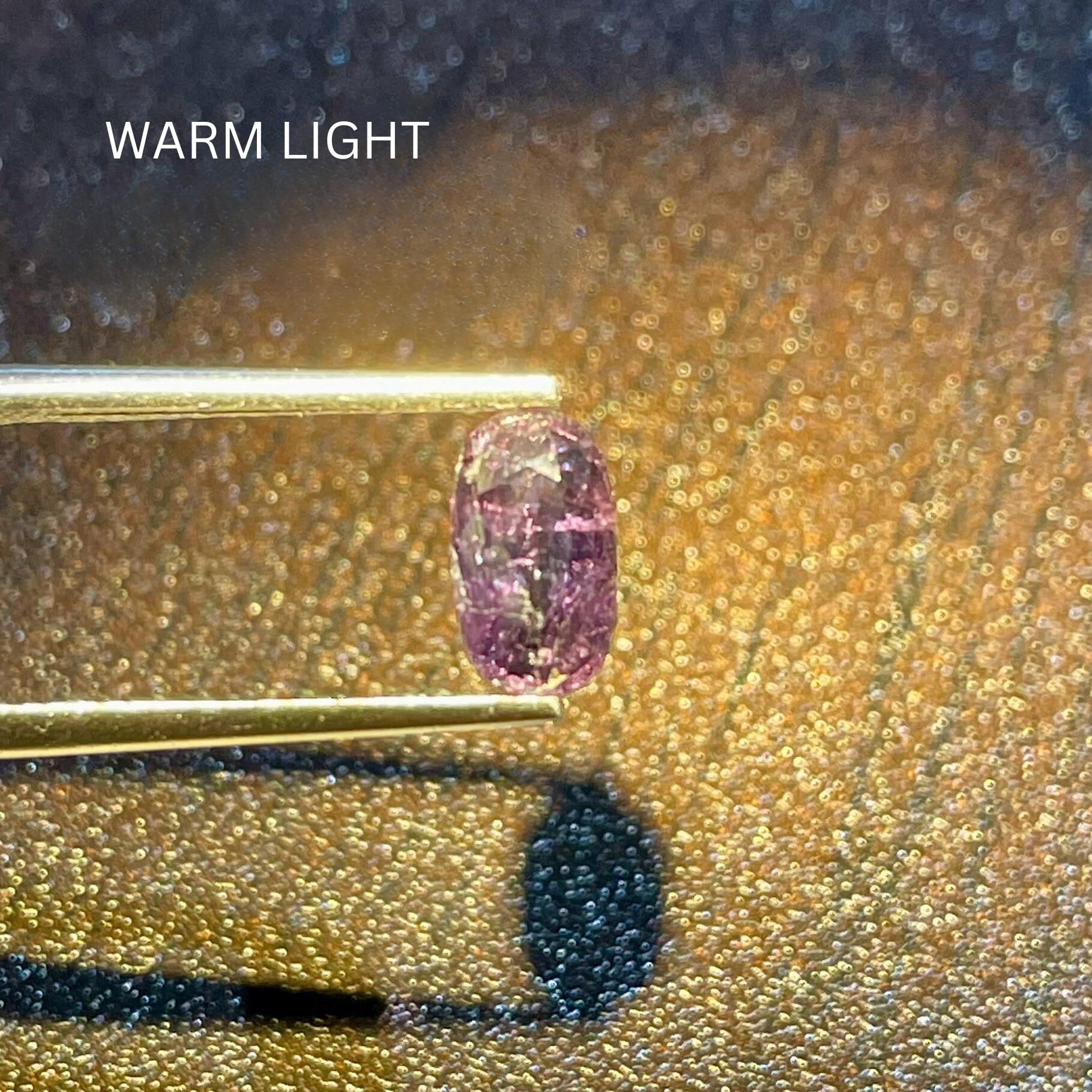 1.63 Carats Natural Color Change Sapphire Stone Oval Cut Sri Lankan Gemstone In New Condition For Sale In Bangkok, TH