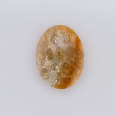 16.3 cts, Oval coral fossil cabochon