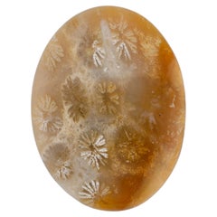16.3 cts, Oval coral fossil cabochon