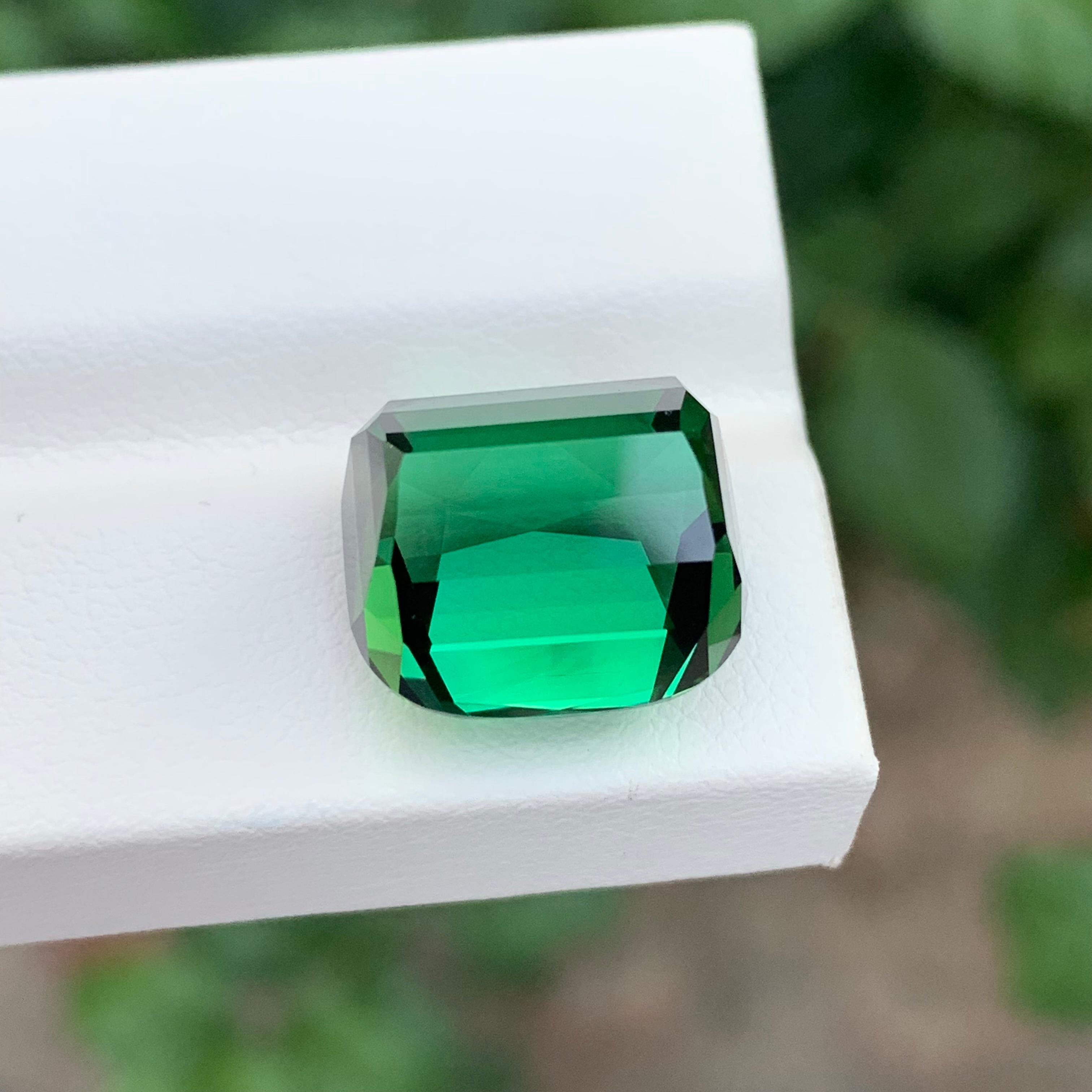 Tourmaline verte naturelle facettée taille coussin de 16,35 carats en vente 1