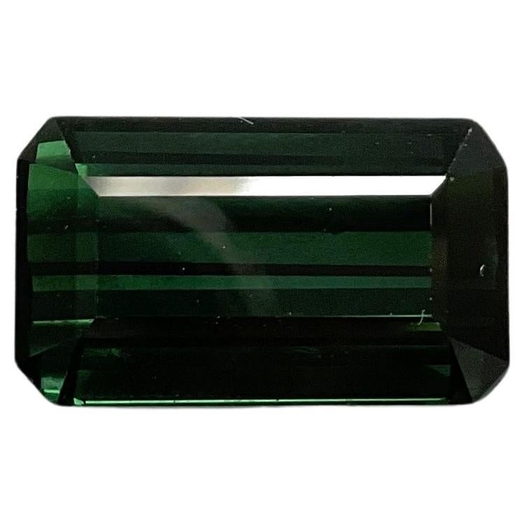 Pierre précieuse naturelle tourmaline vert foncé octogonale à facettes de 16,35 carats

Pierre précieuse - Tourmaline
Poids - 16,35 carats
Forme - Octogone
Taille -  18x11x9 MM
Pièces - 1