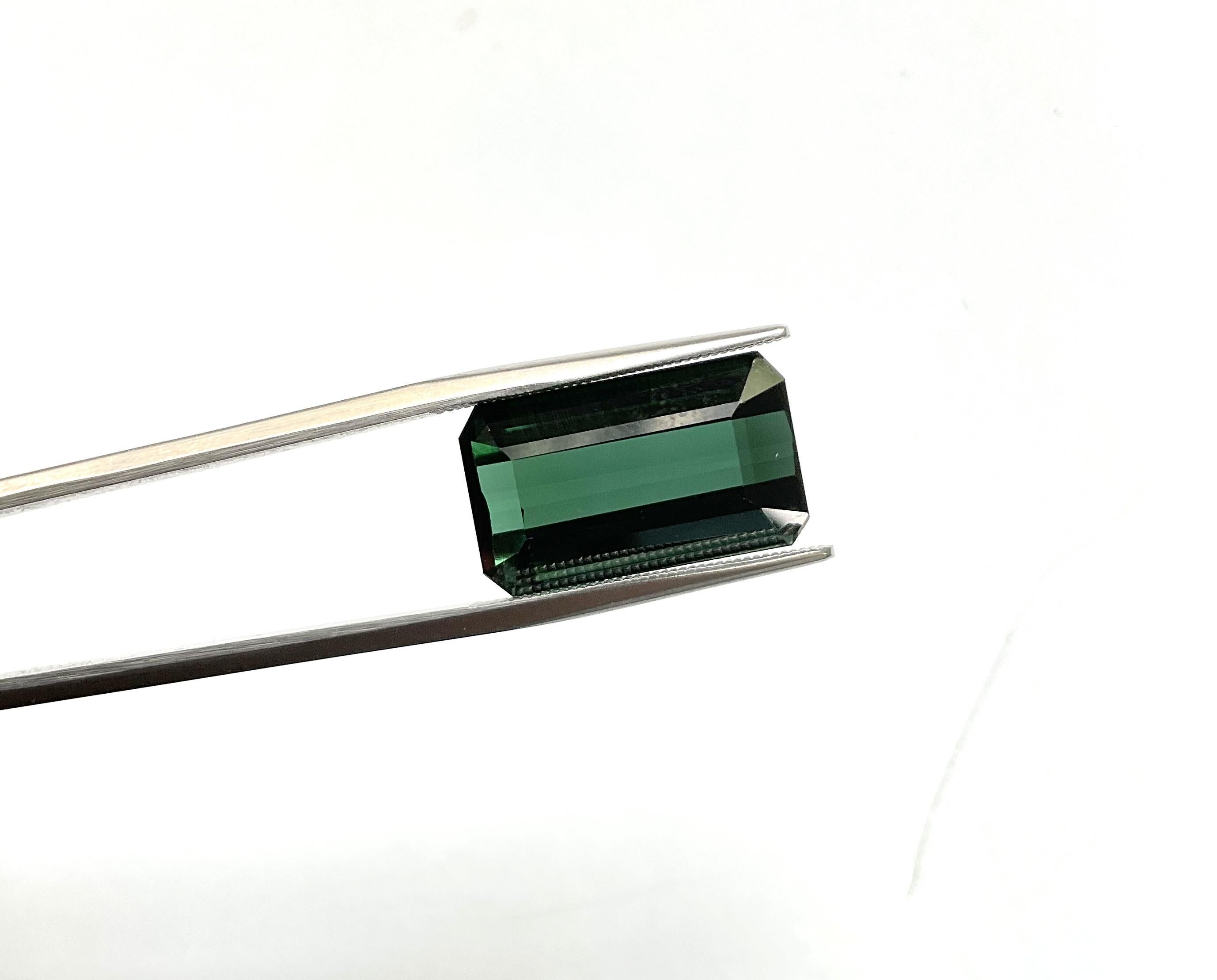 Pierre précieuse naturelle tourmaline vert foncé octogonale à facettes de 16,35 carats en vente 1