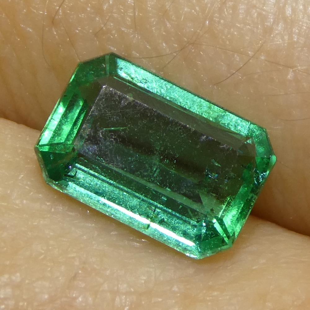 1.63ct Octagonal/Emerald Cut Green Emerald from Zambia (Émeraude verte de Zambie) en vente 6