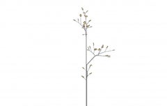 16.40 Birch Trunk Scuptural Floor Lamp by Bocci