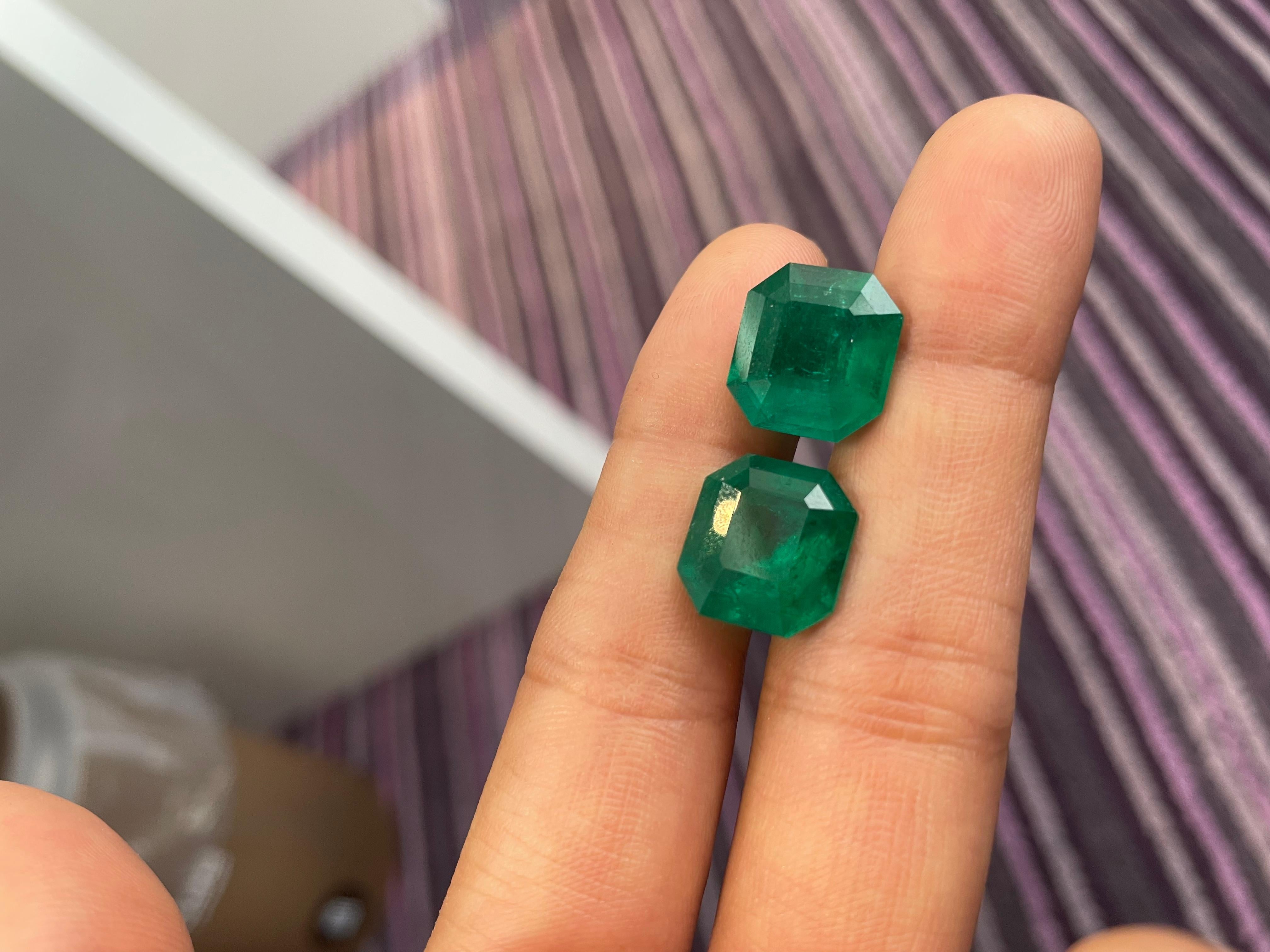 Paire d'émeraudes colombiennes octogonales de 16,40 carats - certifiées CD en vente 2