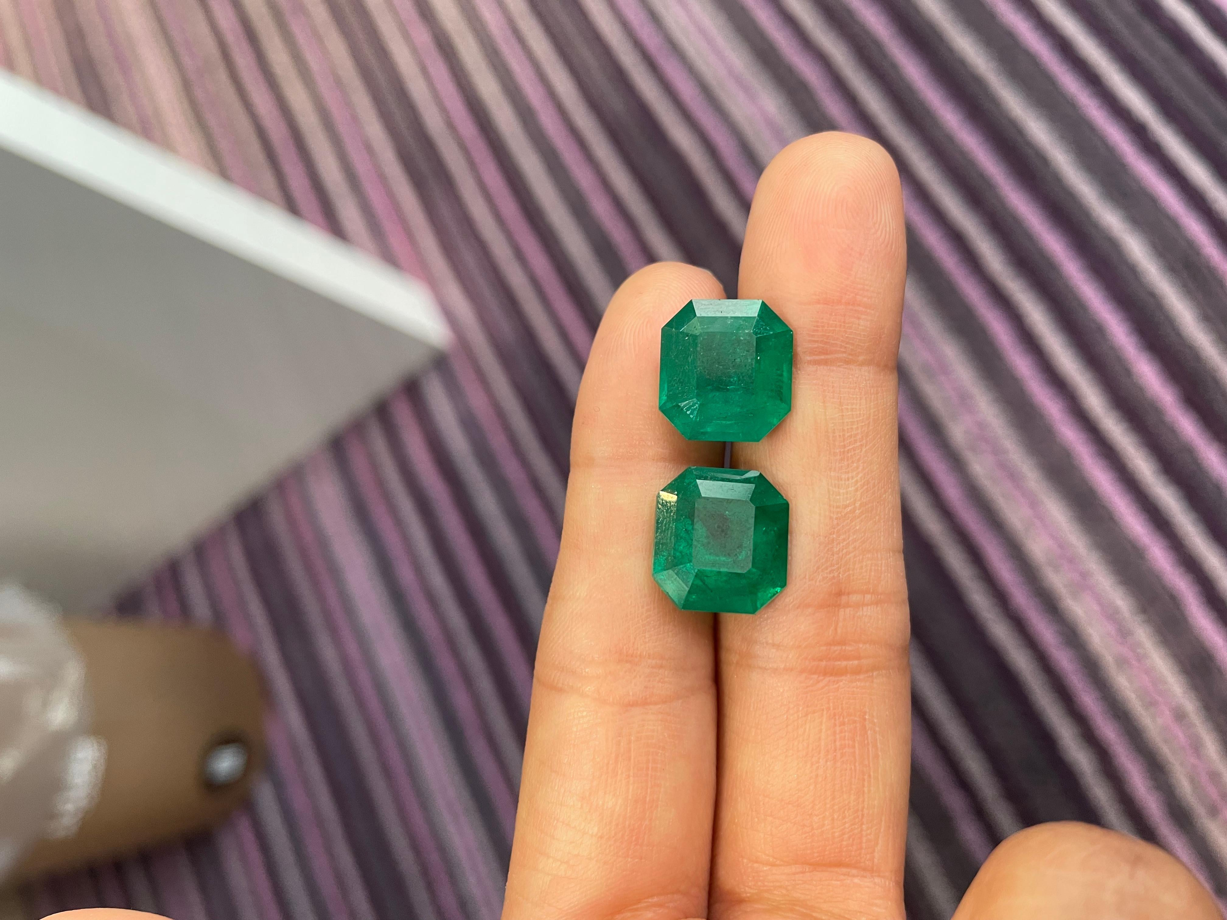 Paire d'émeraudes colombiennes octogonales de 16,40 carats - certifiées CD en vente 3