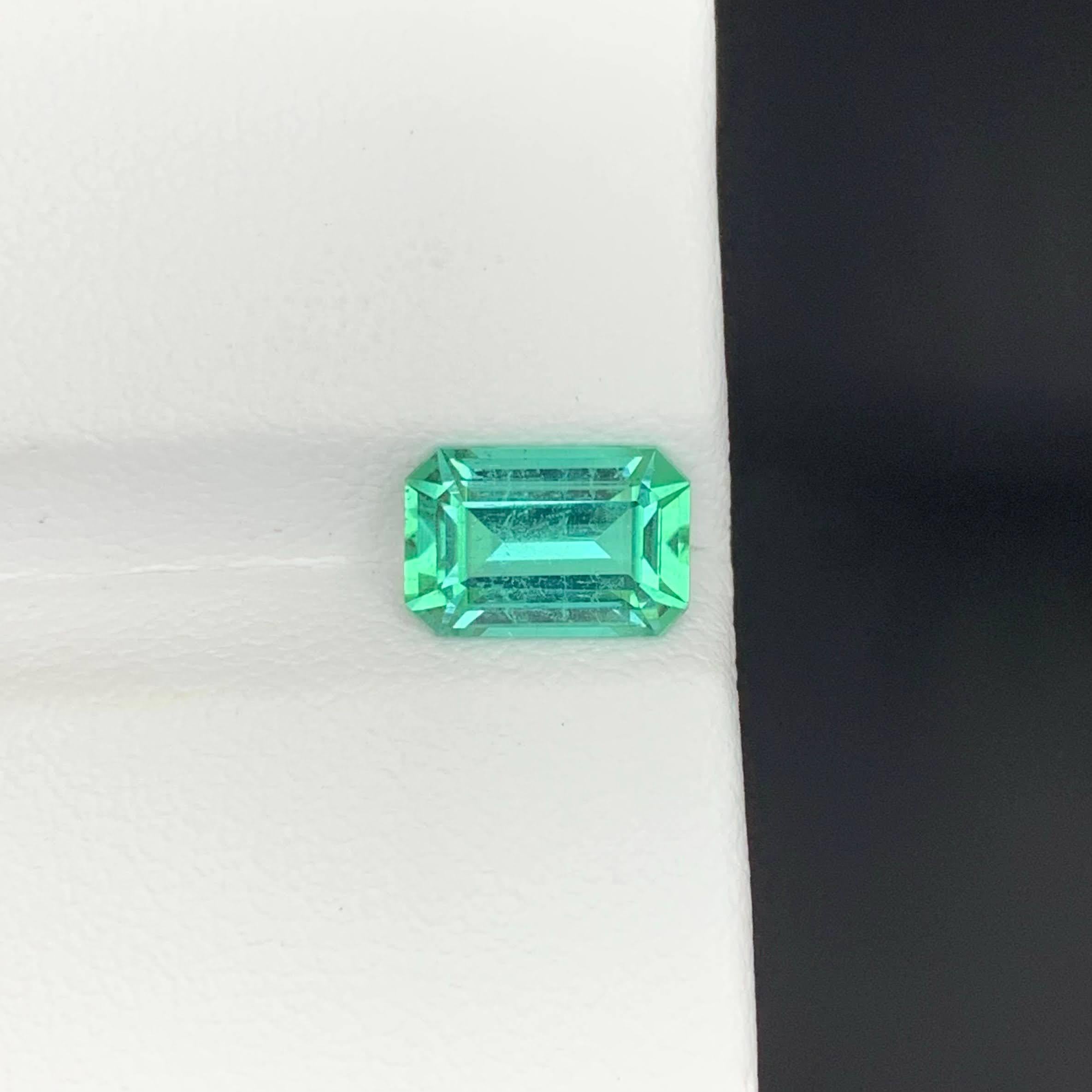 Poids 1,65 carat 
Dimensions 8,6x5,7x4,3mm
Traitement Aucun 
Origine afghane 
Clarté VVS 
Forme Coupe Émeraude 




Cette tourmaline de couleur émeraude naturelle en vrac de 1,65 carat présente une teinte verte riche et vibrante rappelant celle des