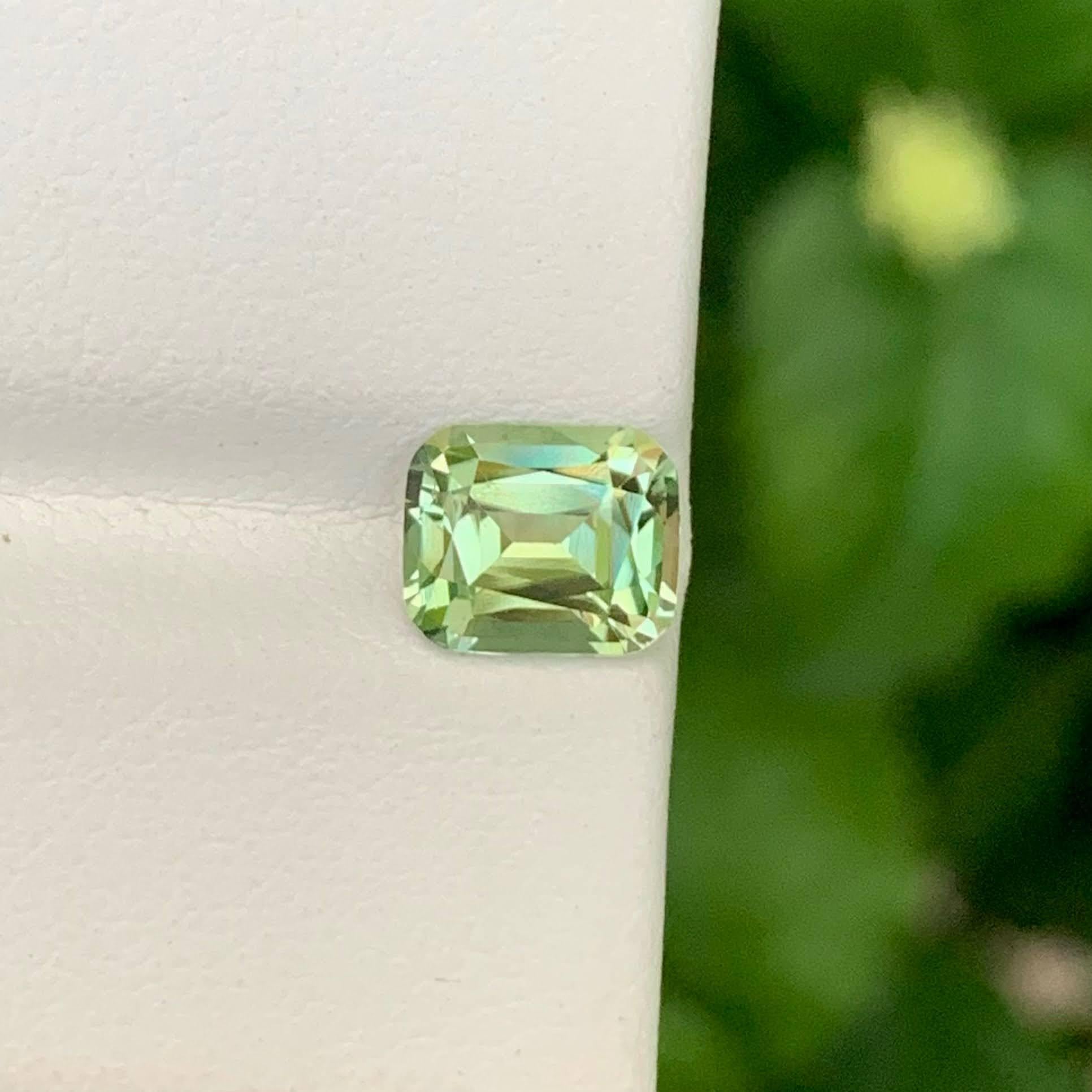 Poids 1,65 carat 
Dimensions 7.3x6.0x4.0mm
Traitement Aucun
Origine afghane 
Clarté VVS 
Forme Coupe Coussin 





Cette tourmaline vert clair en vrac de 1,65 carat est une pierre précieuse vibrante, présentant une teinte vert clair rafraîchissante