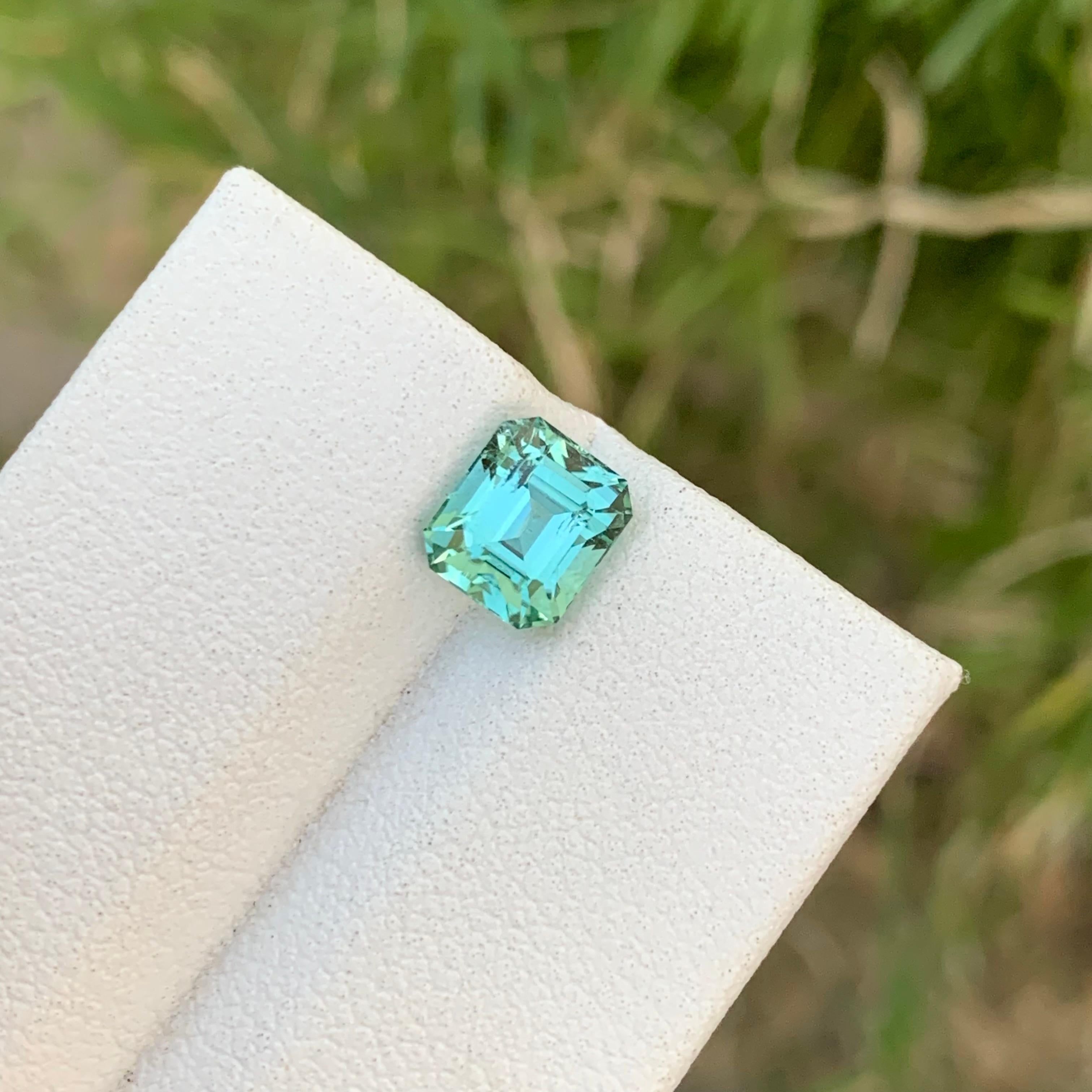Loose Tourmaline
Weight: 1.65 Carats
Dimension: 6.7 x 5.8 x 5 Mm
Origin: Kunar Afghanistan
Shape: Emerald
Color: Mint Green
Treatment: Non
Certificate: On Demand

Mint green tourmaline, with its delicate hue reminiscent of fresh spring foliage,