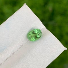 1.65 Carats Natural Loose Mint Green Tourmaline Oval Shape Ring Gemstone