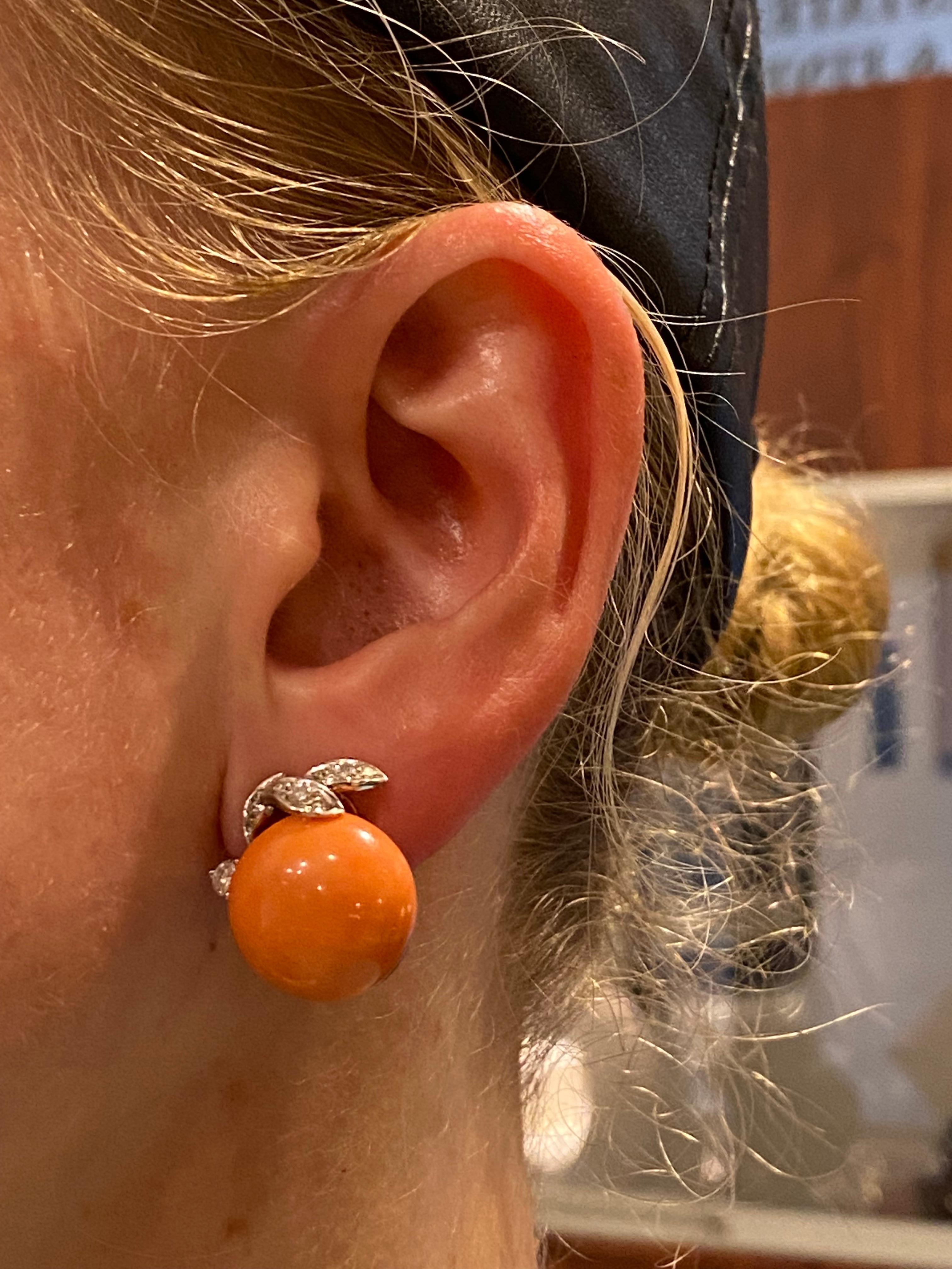 This magnificent pair of handmade Clip-On Earrings 
is of Italian provenance, 
dating back to 1970's, 
featuring Pelle D'Angelo Precious Corals 
of top quality & 
of one of the most desirable colour

~

Meticulously crafted in 18K White Gold, 
each