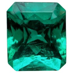 1.66 Carat Certified Muzo Green Colombian Emerald - Drop of Oil Effect AAA+ Gem