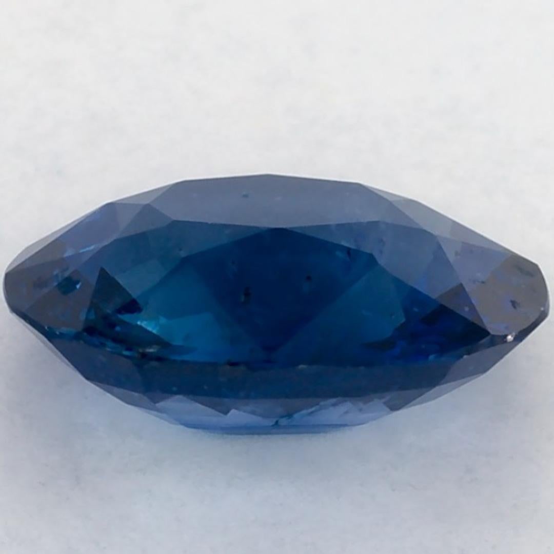 1.66 qt Zafiro Azul Oval Gema Suelta en Nuevo estado para la venta en Fort Lee, NJ