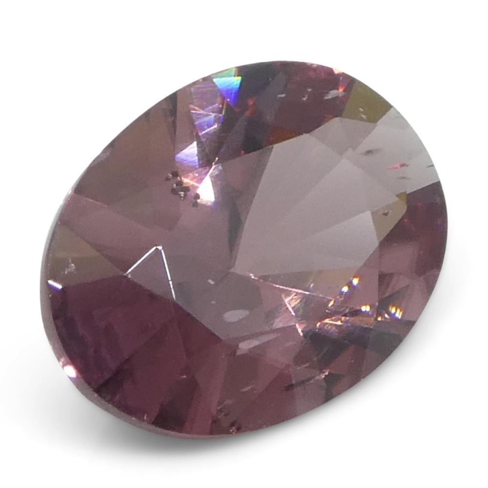 1,66 ct Circón rosa talla brillante maestro ovalado natural extraído de la tierra procedente de Sri Lanka en venta 3