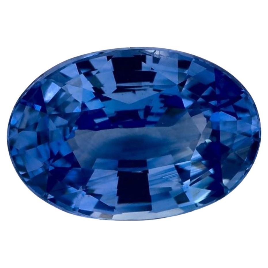 1.67 Ct Blue Sapphire Oval Loose Gemstone (pierre précieuse en vrac)