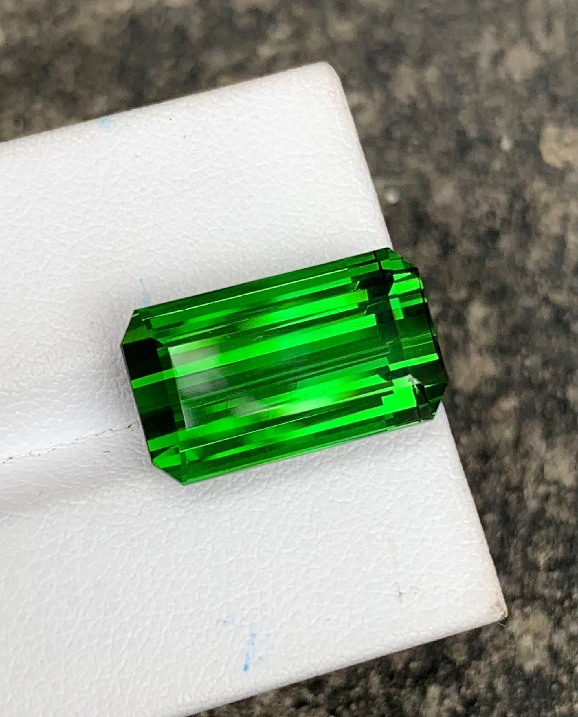 Poids 16,70 carats 
Dimensions 17.90x10.50x9.20 mm
Traitement aucun 
Origine Afrique 
Clarté de l'œil 
Forme octogonale 
Taille émeraude 


La tourmaline verte chrome de 16,70 carats est une pierre précieuse africaine étonnante, présentant une