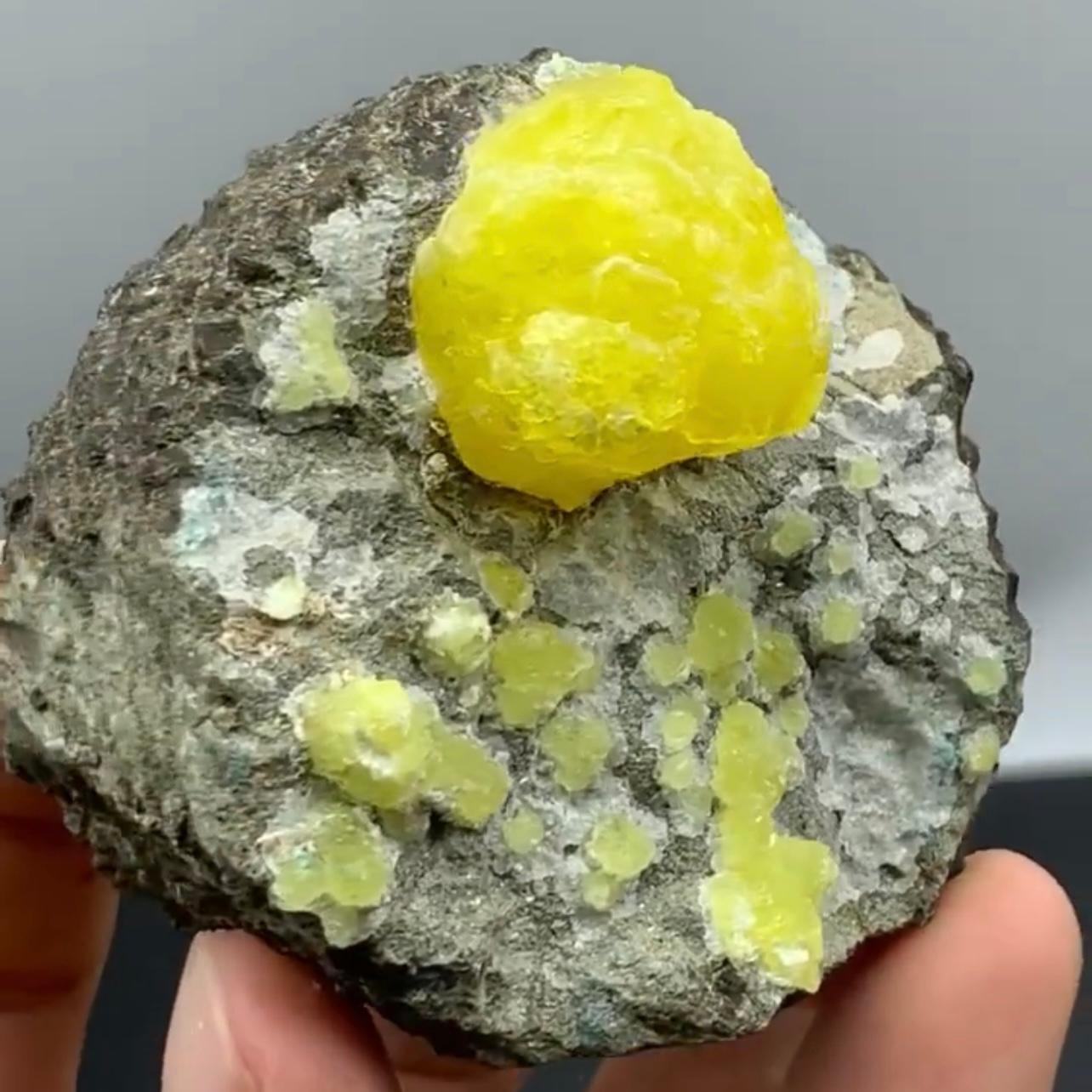 Product Information:

Specimen Type: Brucite on Chrysocolla Matrix

Weight: 168 grams

Dimensions: H: 5.5 x W: 5.8 x D: 4.5 cm

Origin: Baluchistan Province, Pakistan

Treatment: None

Description: 

Introducing the stunning Attractive Brucite