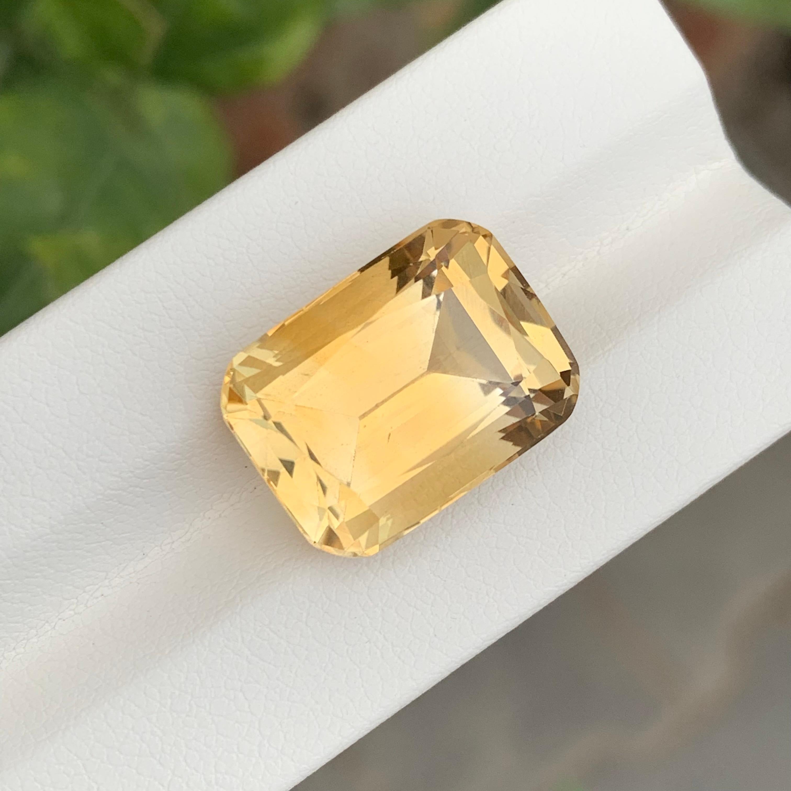 Citrino sfaccettato
Peso: 16,85 carati
Dimensioni: 17,7x13,3x10,3 Mm
Origine: Brasile 
Colore: giallo
Trattamento: Non
Certificato: Su richiesta
La personalizzazione è disponibile: contatta il nostro servizio clienti per conoscere le varianti