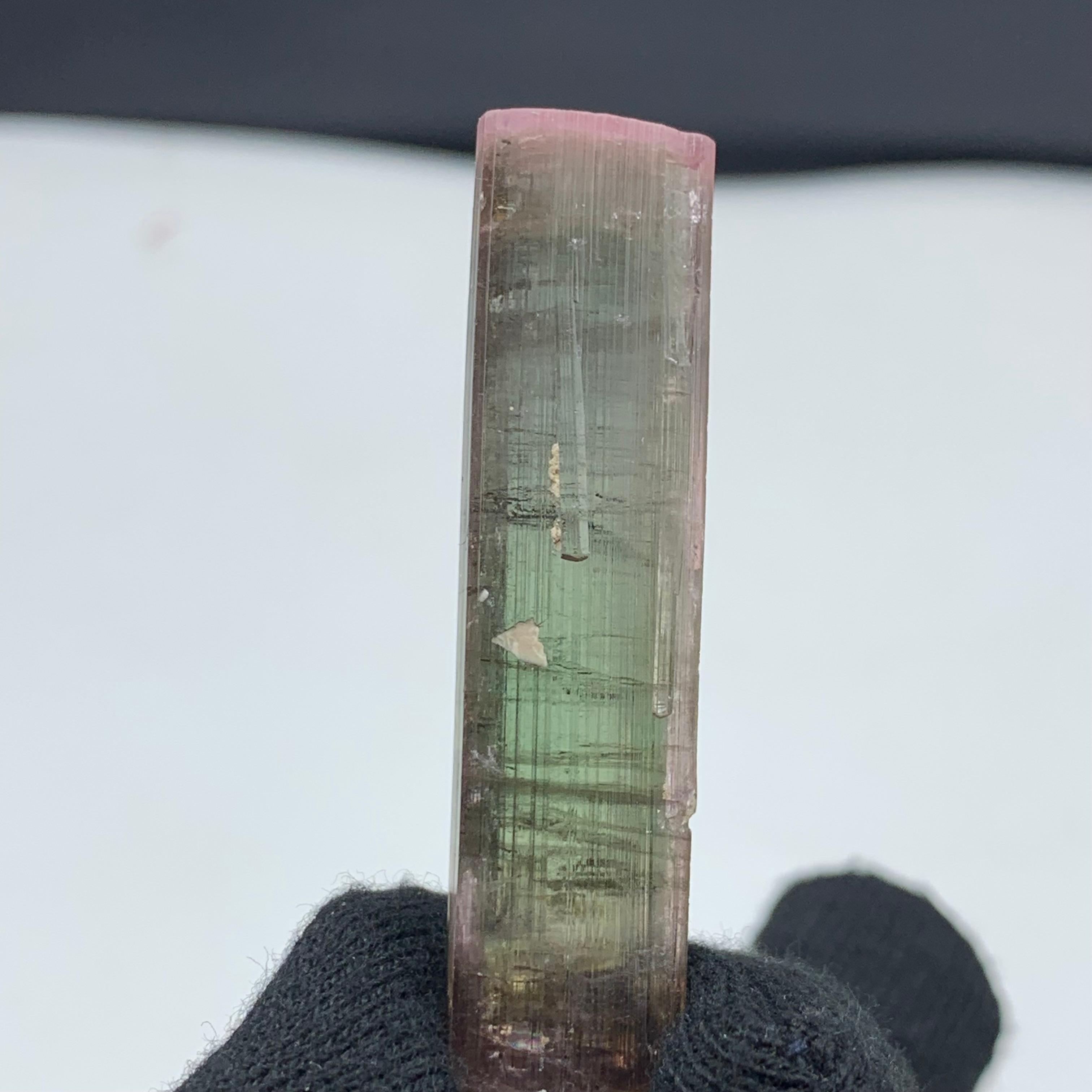 16.95 Gram Amazing Bi Color Tourmaline Crystal From Paprook Mine, Afghanistan 
Weight: 16.95 Gram
Dimension: 5.4 x 1.3 x 1.1 Cm 
Origin: Paprook Mine, Afghanistan 

Tourmaline is a crystalline silicate mineral group in which boron is compounded with